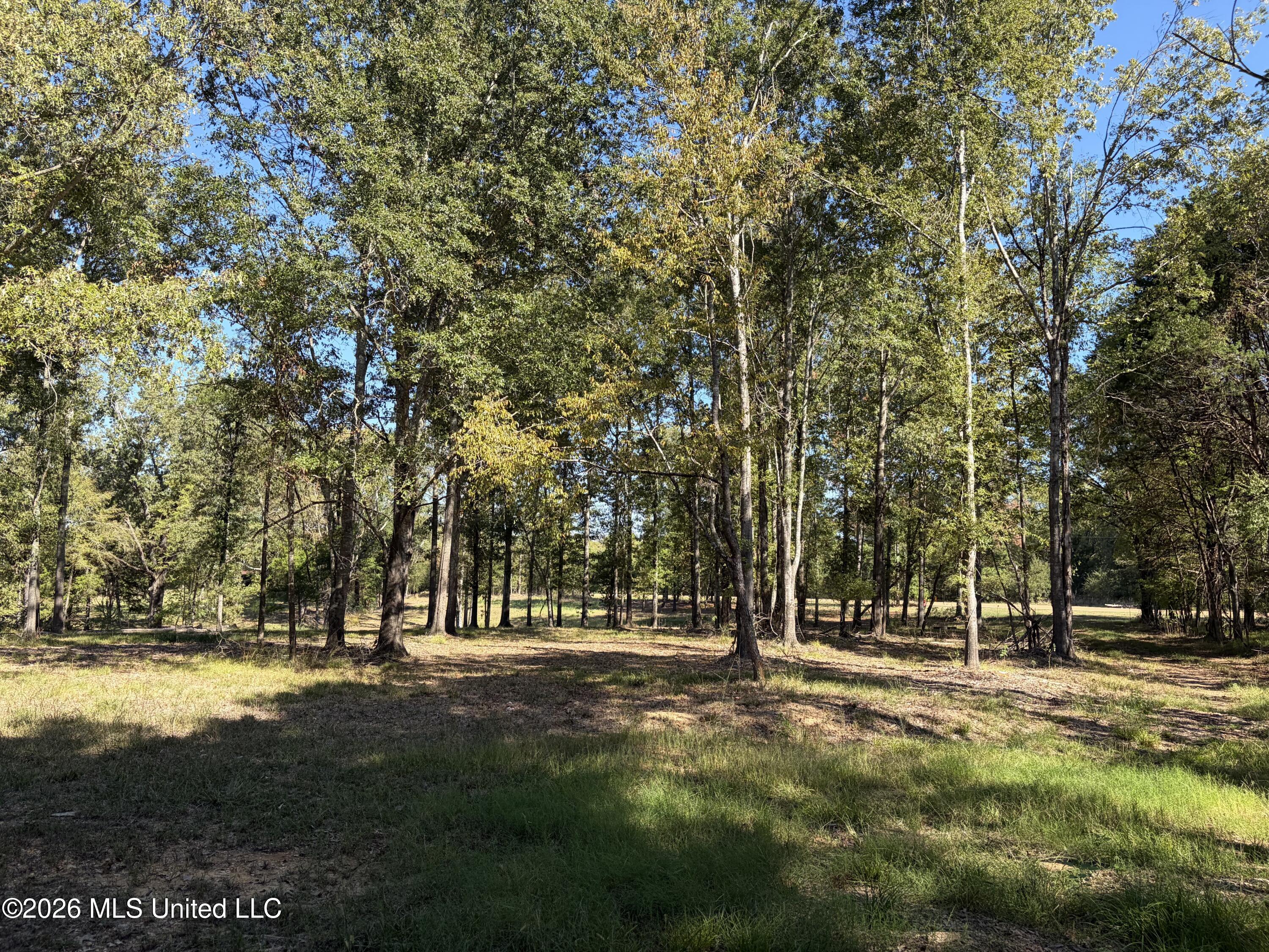 271 Tisdale Road Property Photo 16