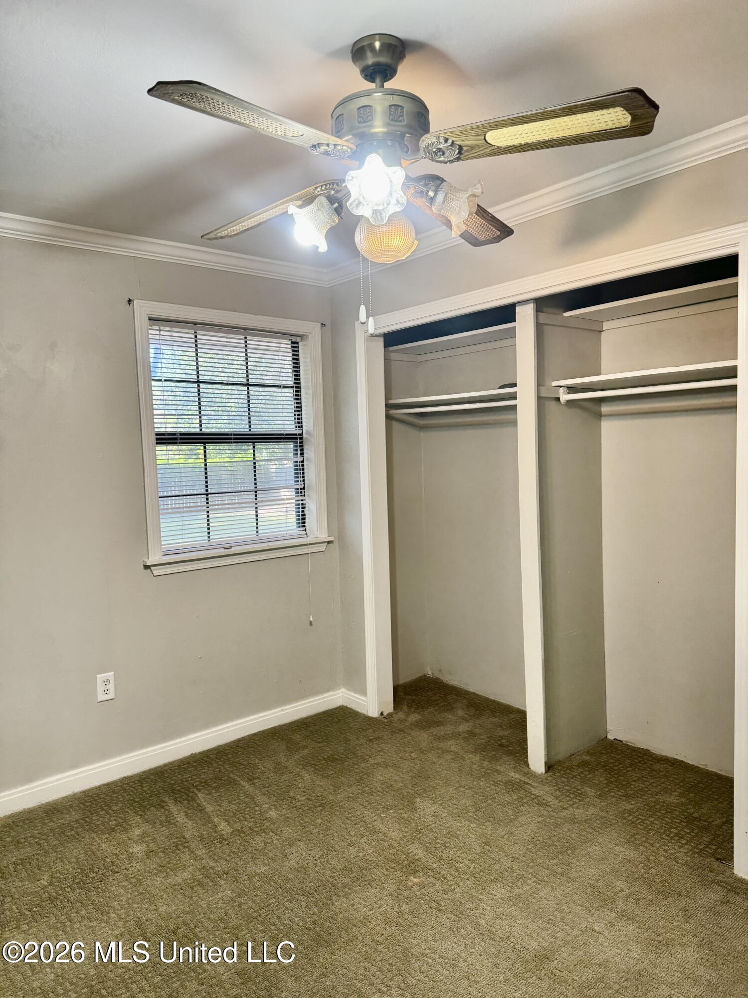 1628 Camellia Street Property Photo 15