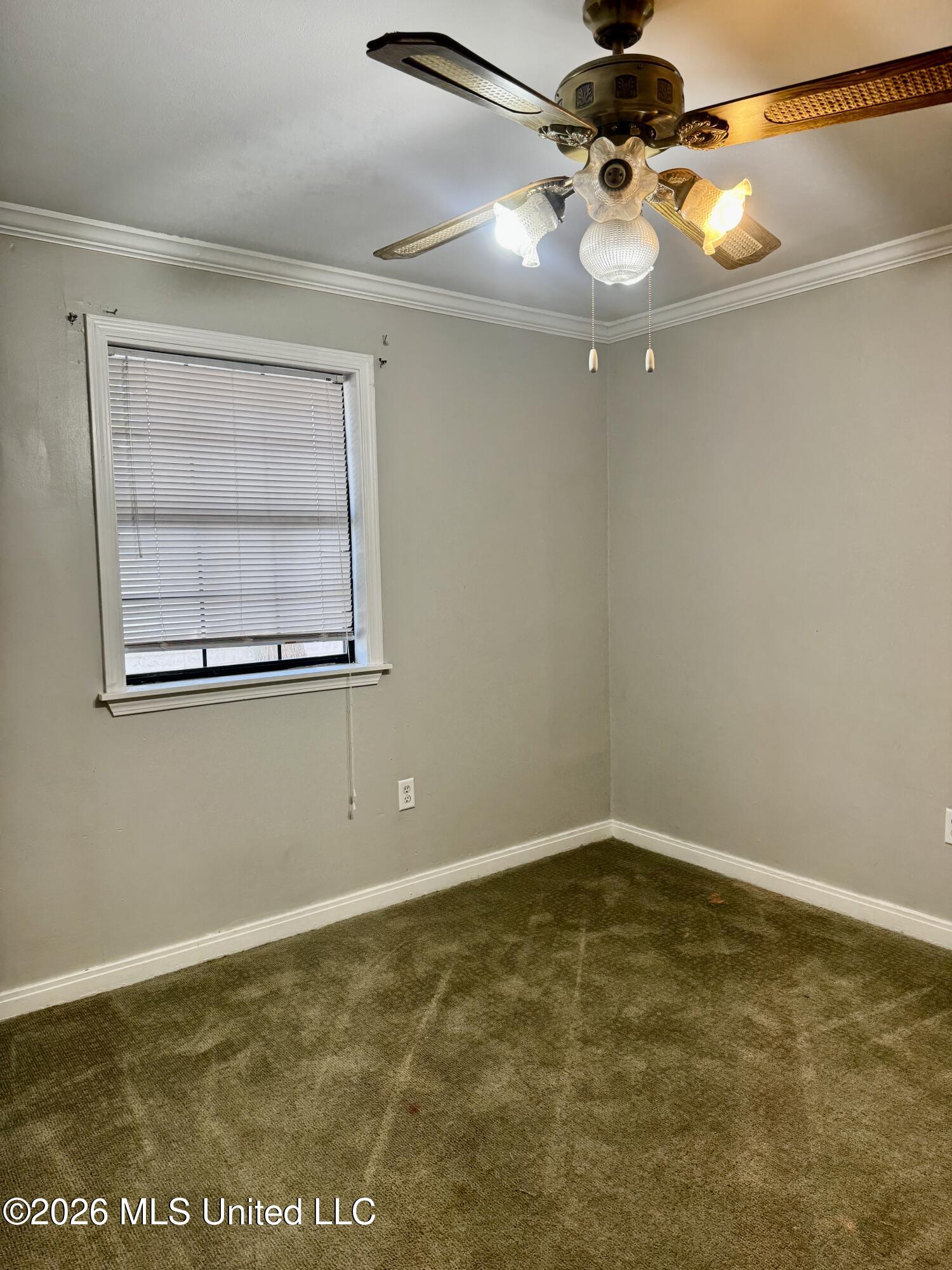 1628 Camellia Street Property Photo 16