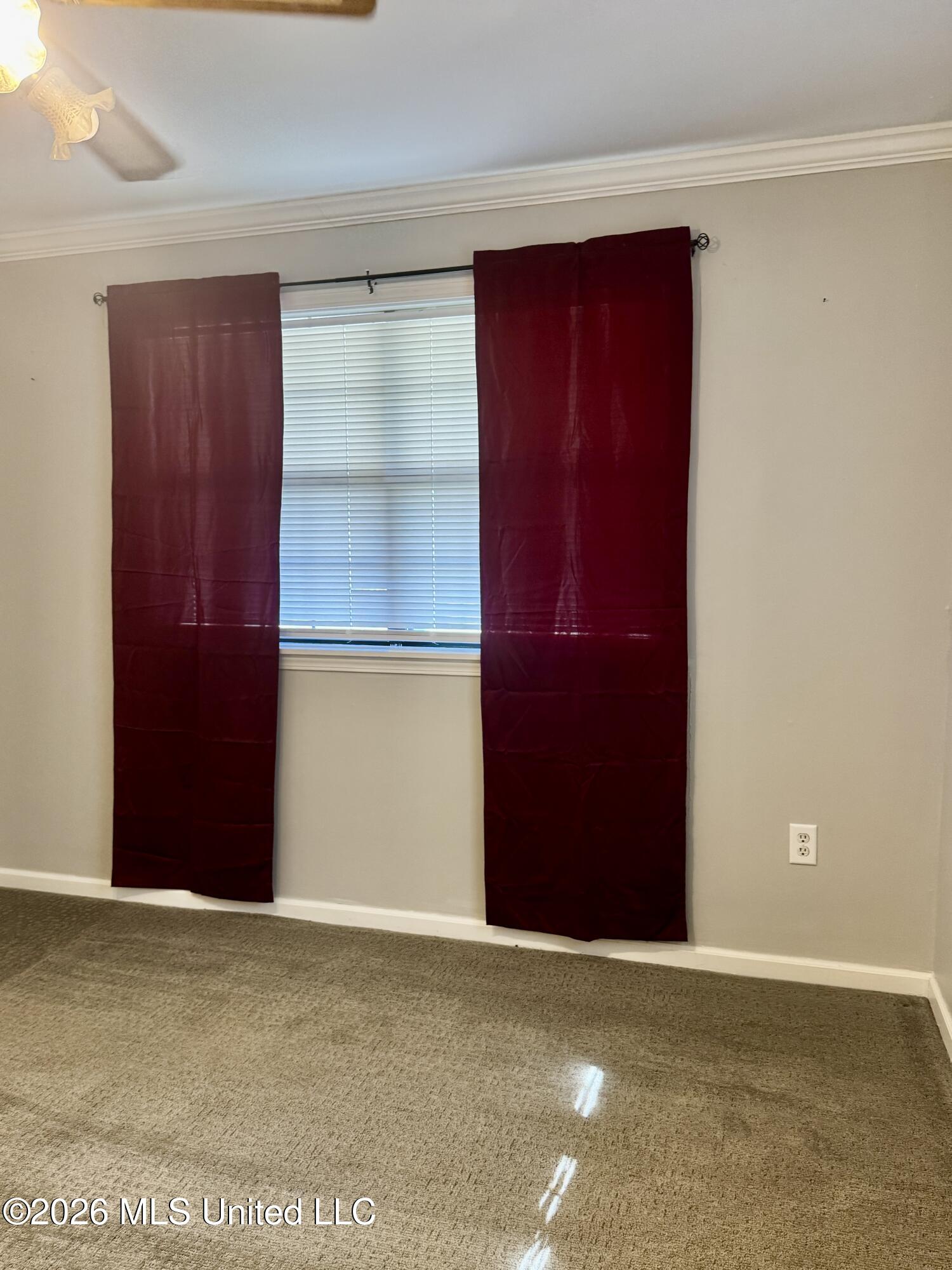 1628 Camellia Street Property Photo 17