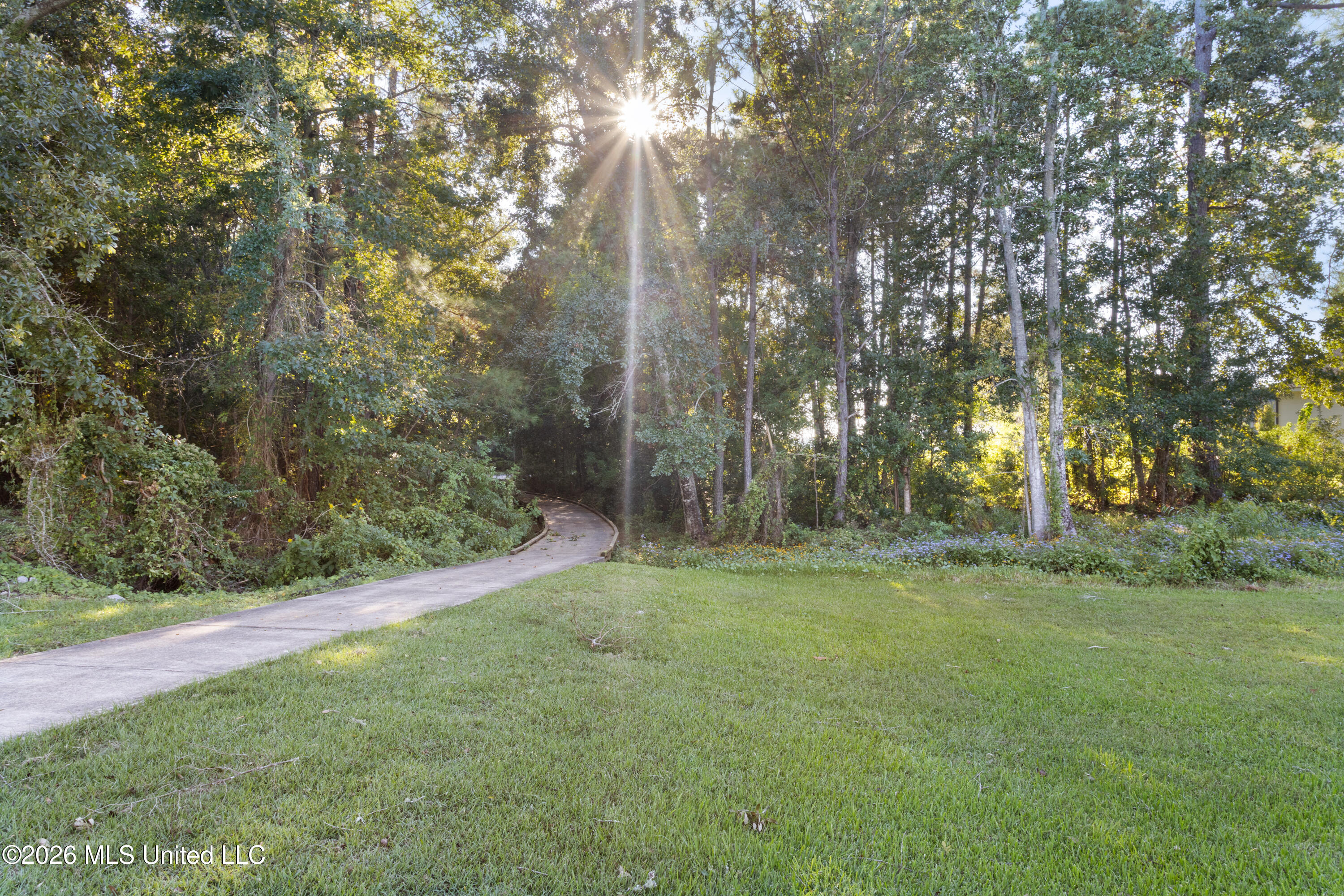 795 Destiny Plantation Boulevard Property Photo 52