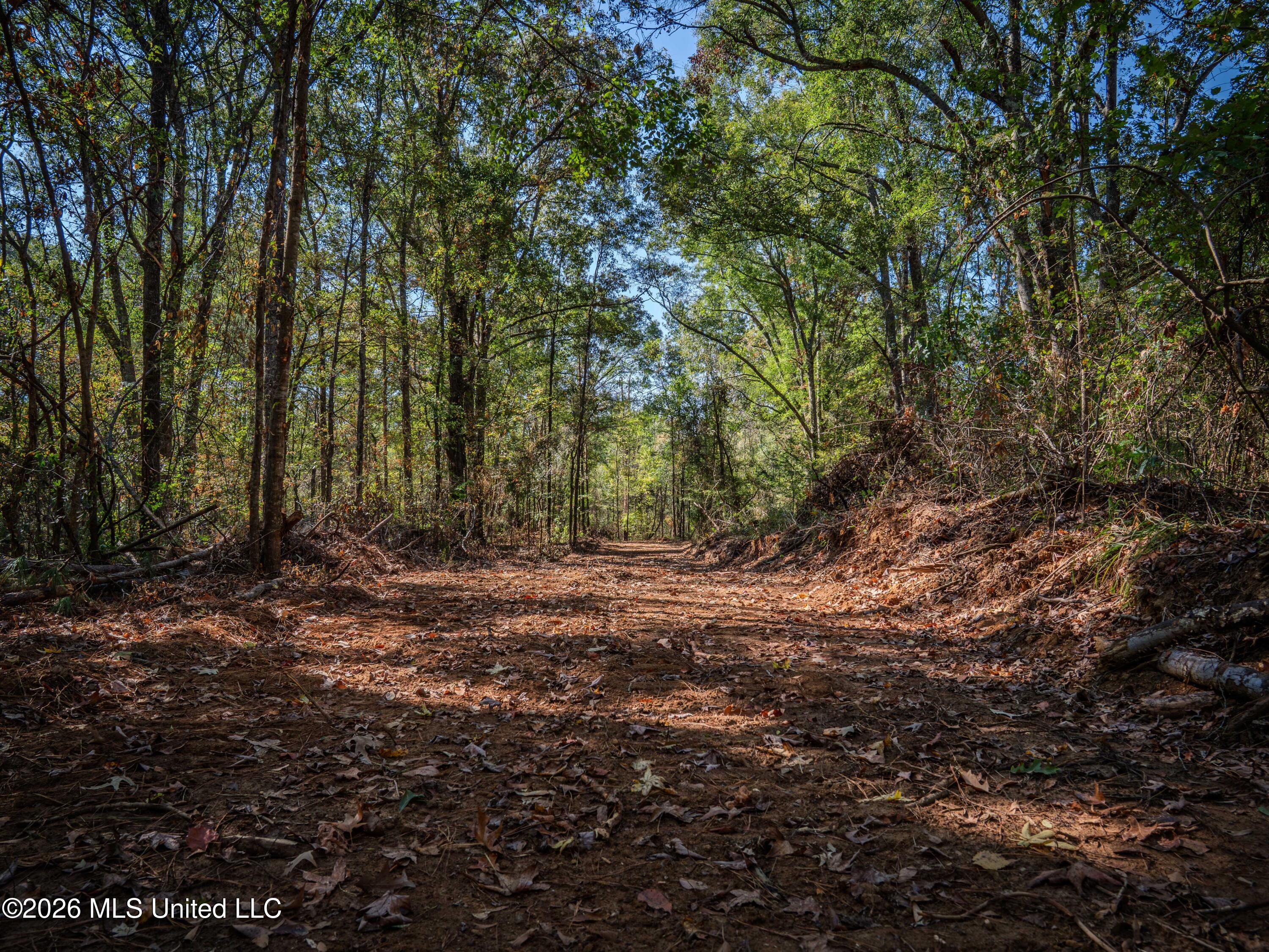 Billy Fields Rd Property Photo 2