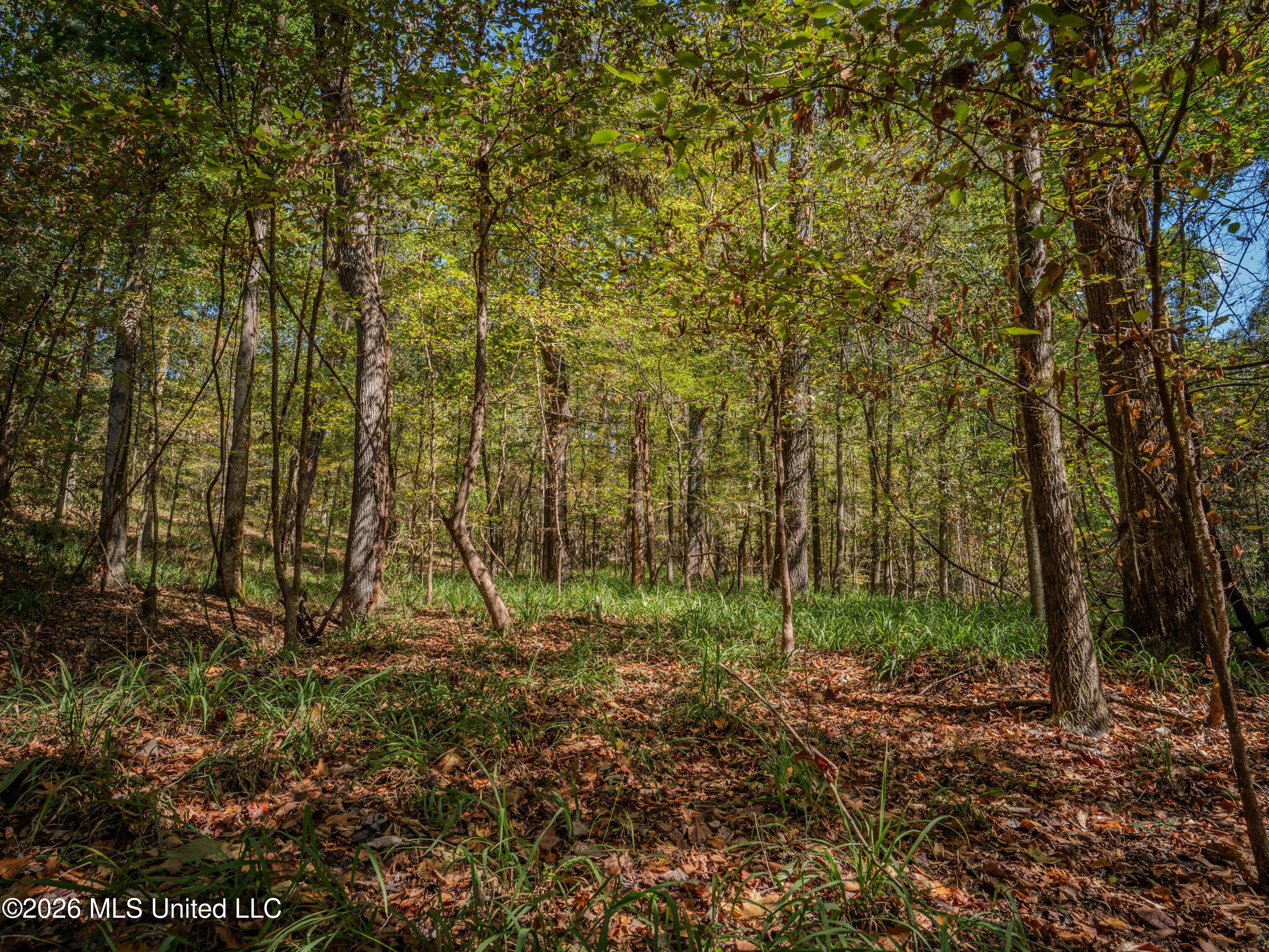 Billy Fields Rd Property Photo 9