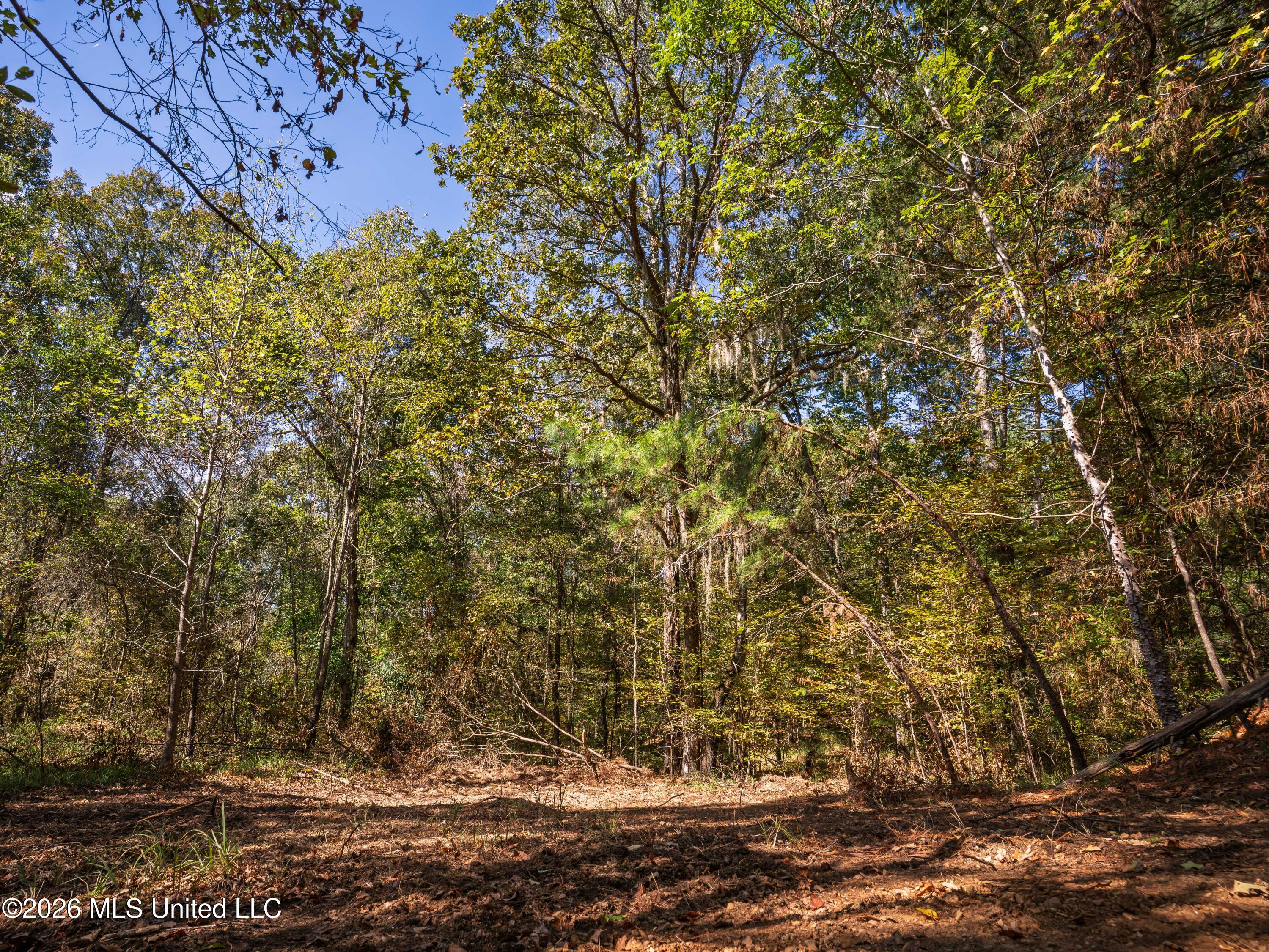 Billy Fields Rd Property Photo 11