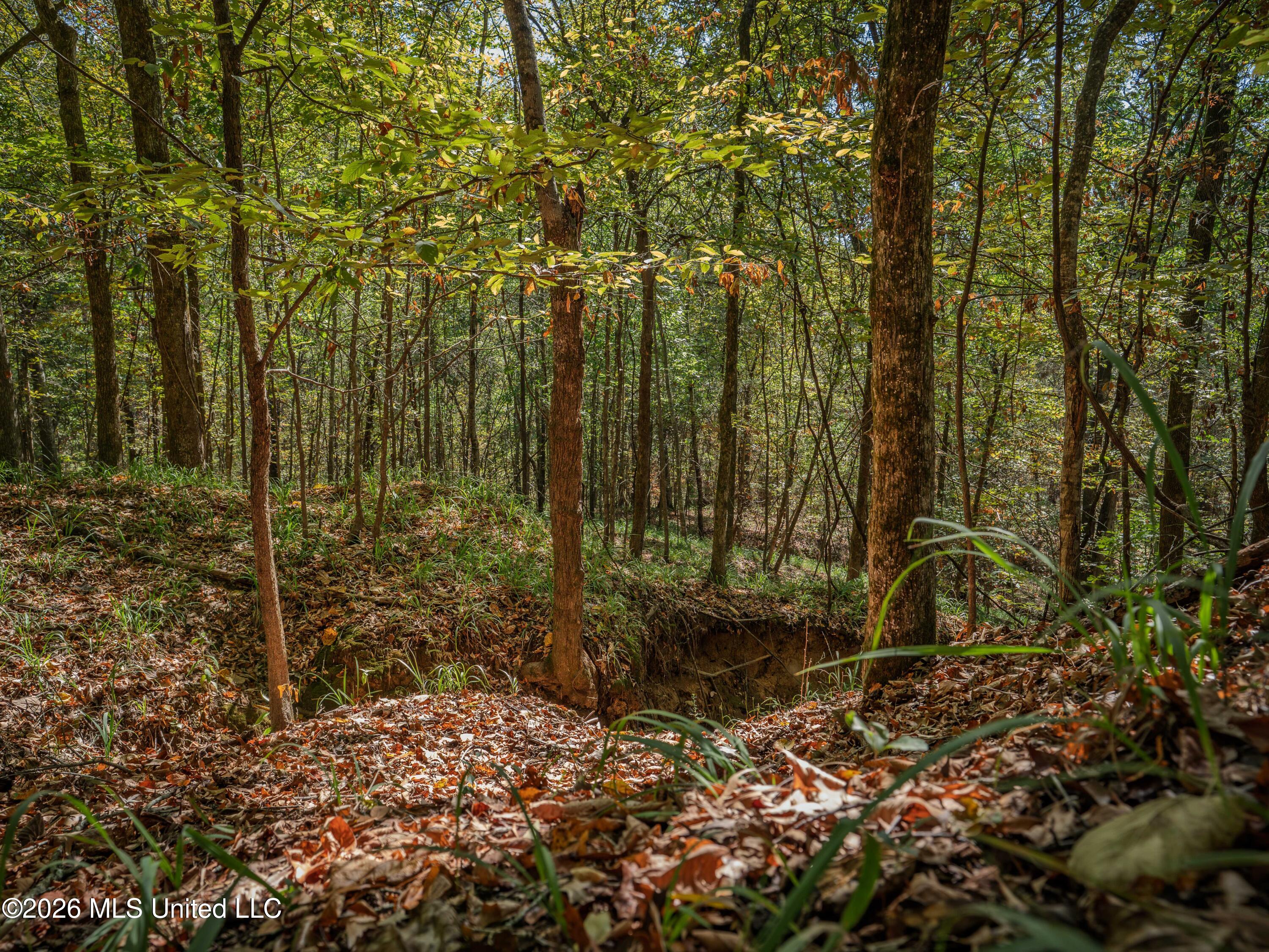 Billy Fields Rd Property Photo 14