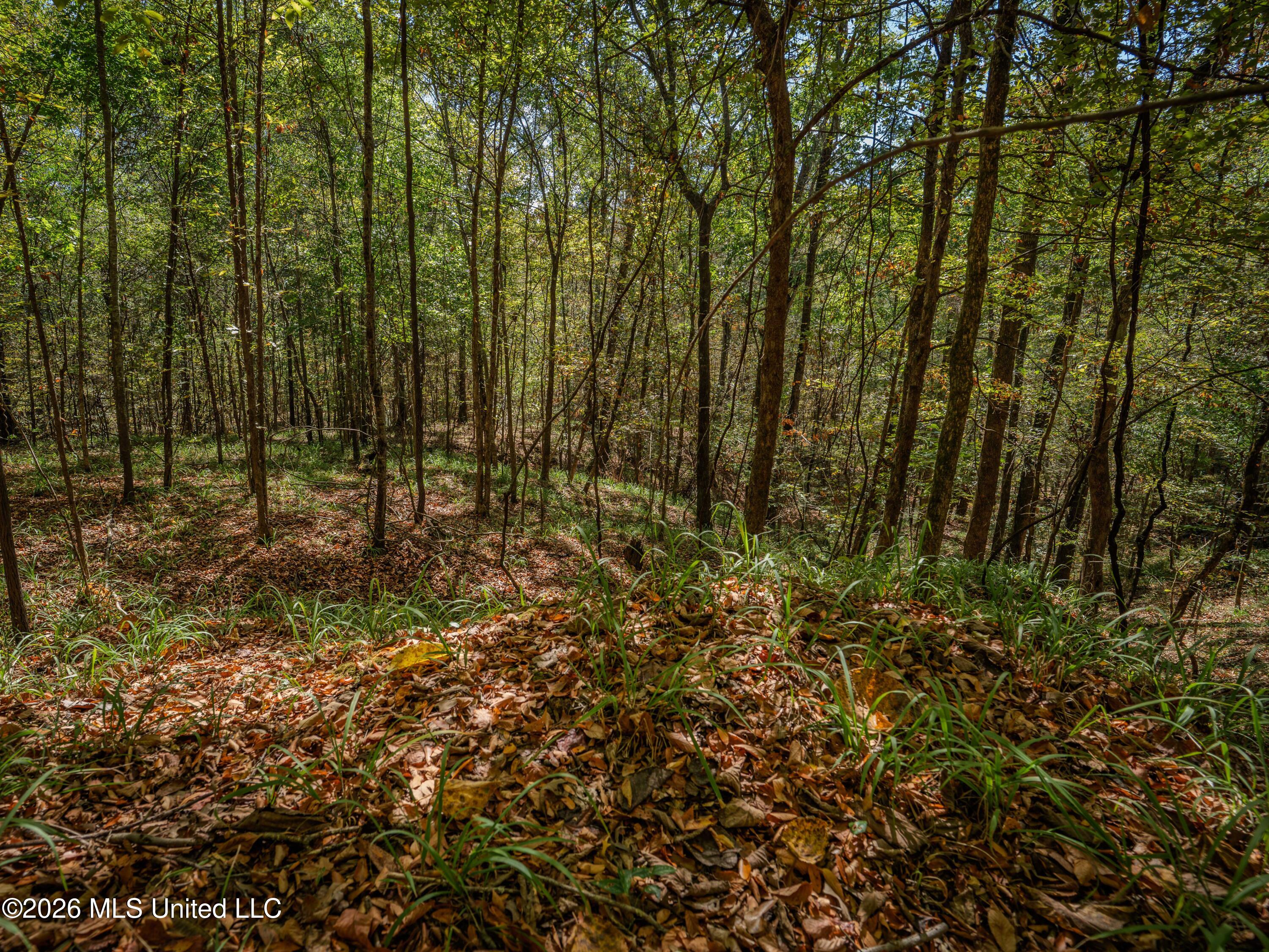 Billy Fields Rd Property Photo 15