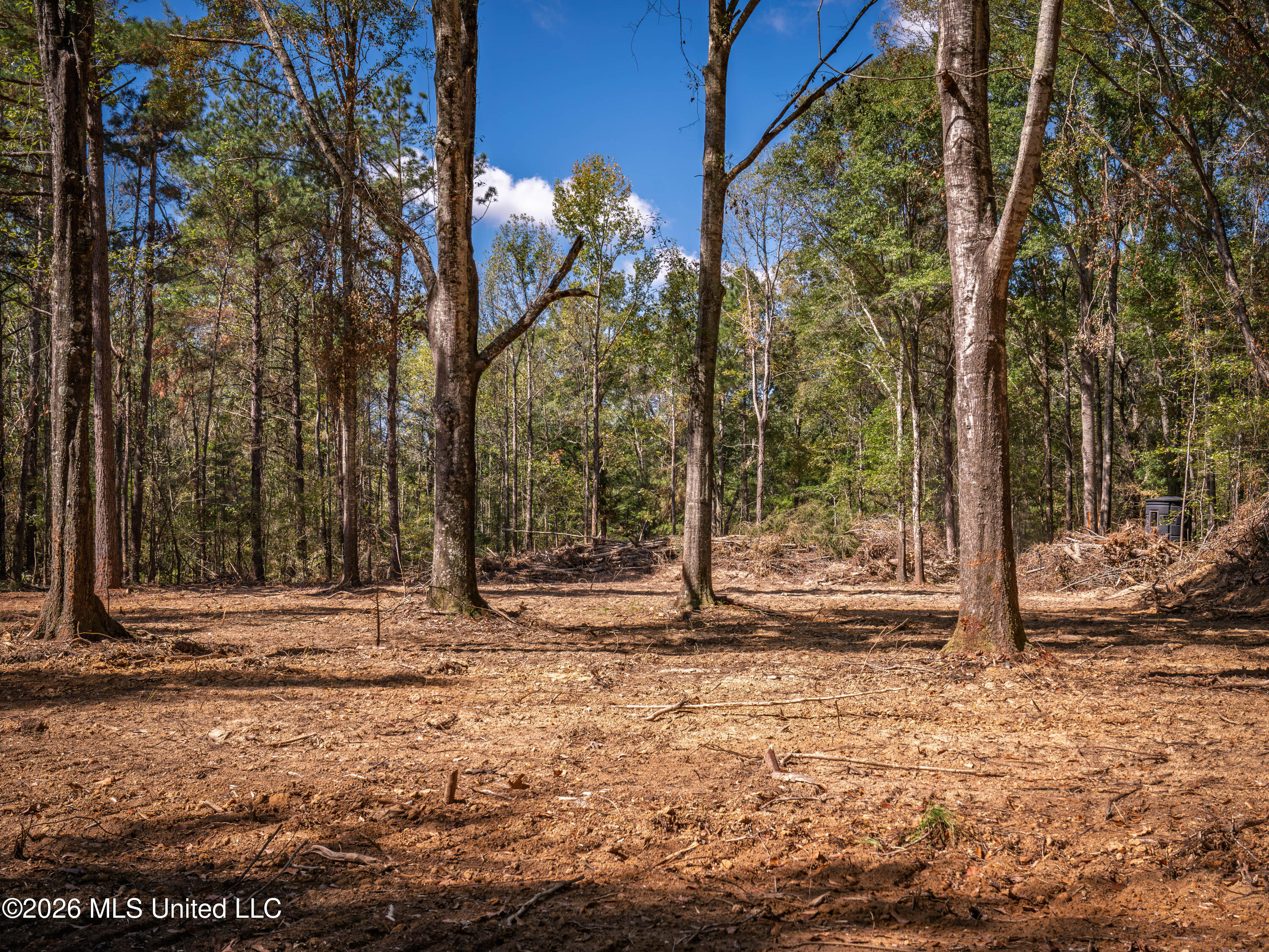 Billy Fields Rd Property Photo 21