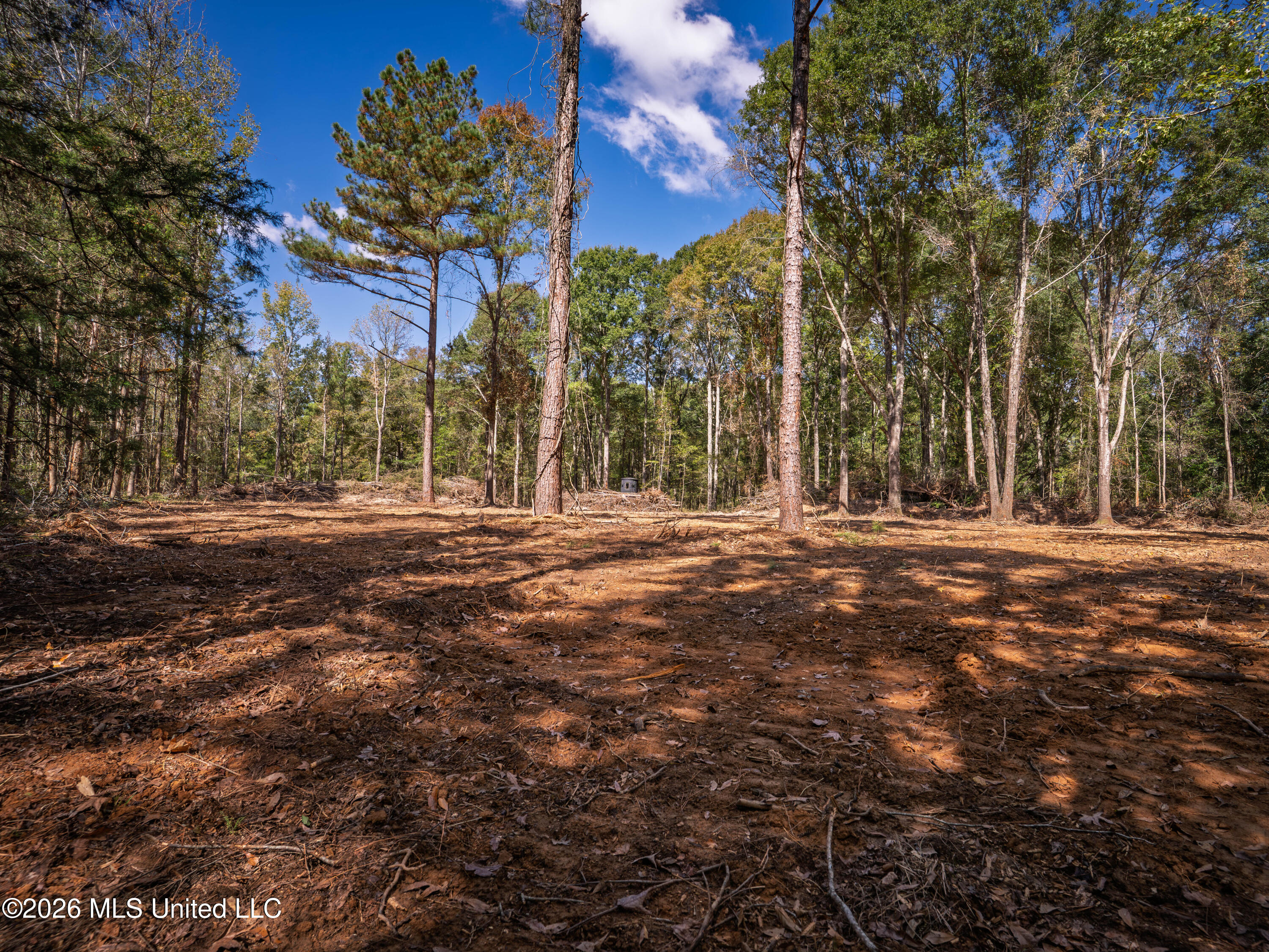 Billy Fields Rd Property Photo 22