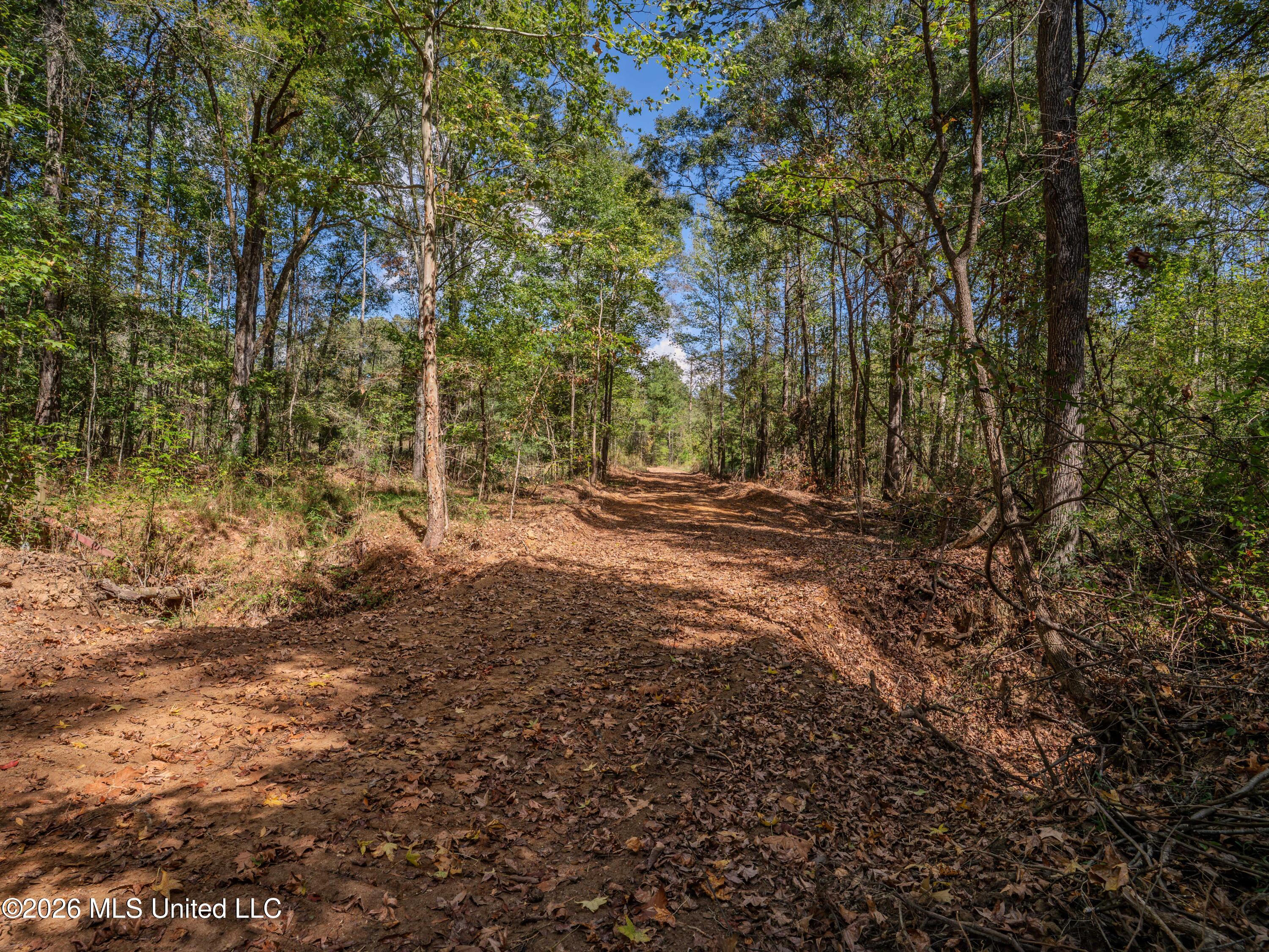 Billy Fields Rd Property Photo 32