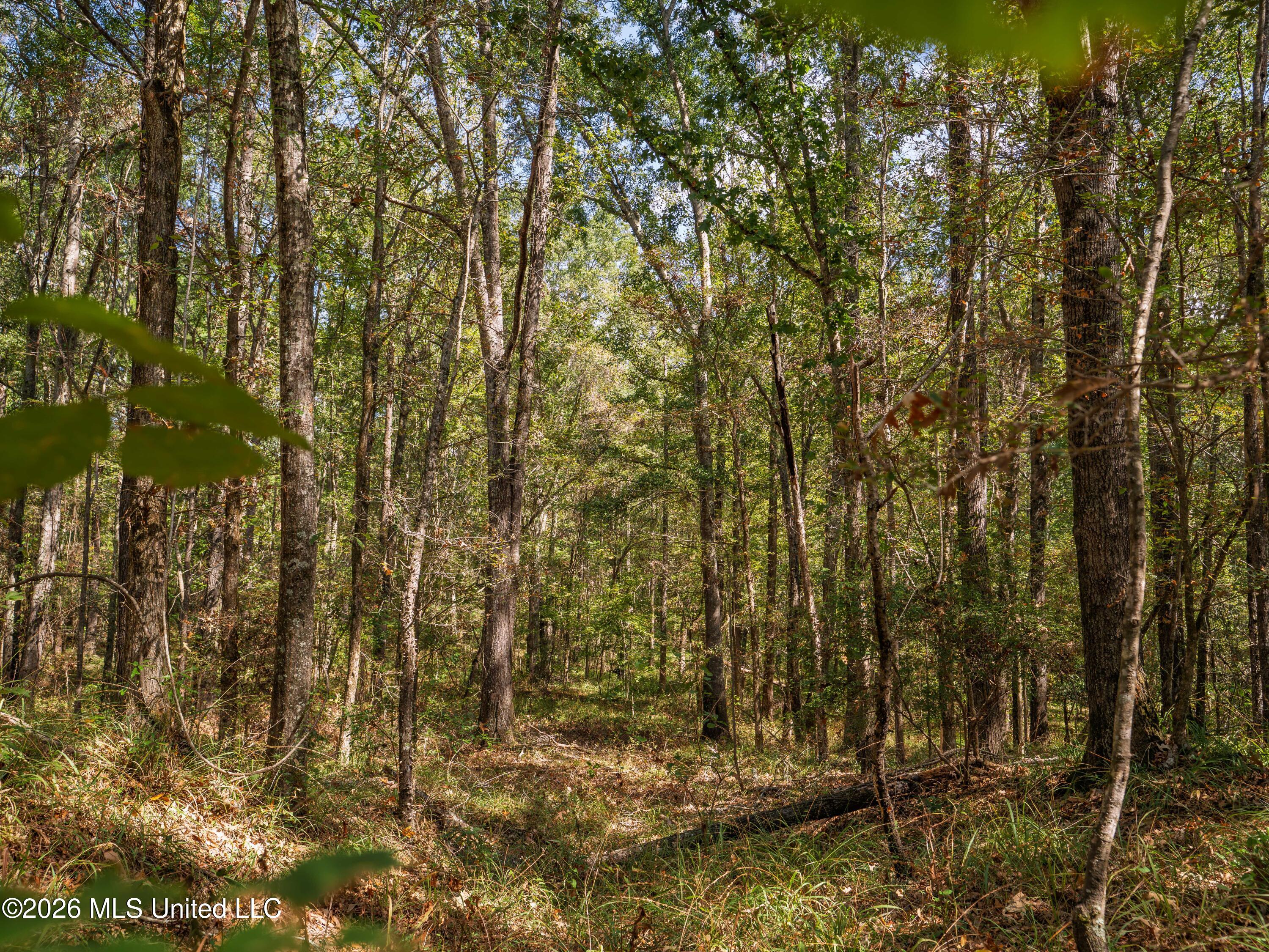Billy Fields Rd Property Photo 33