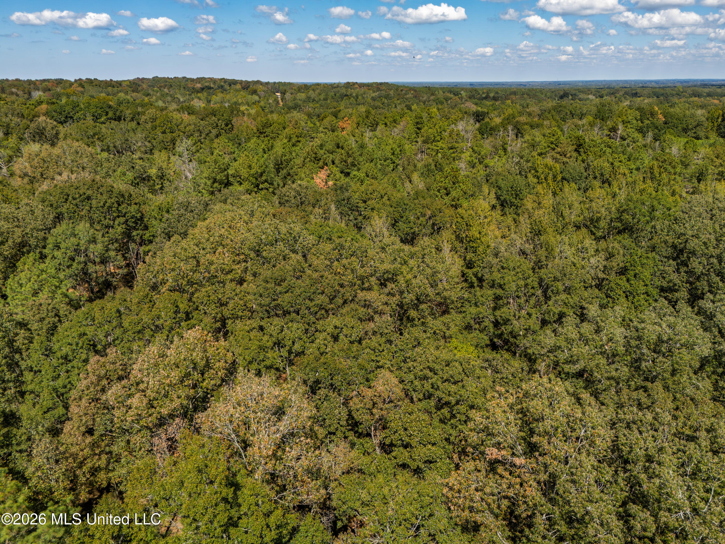 Billy Fields Rd Property Photo 47