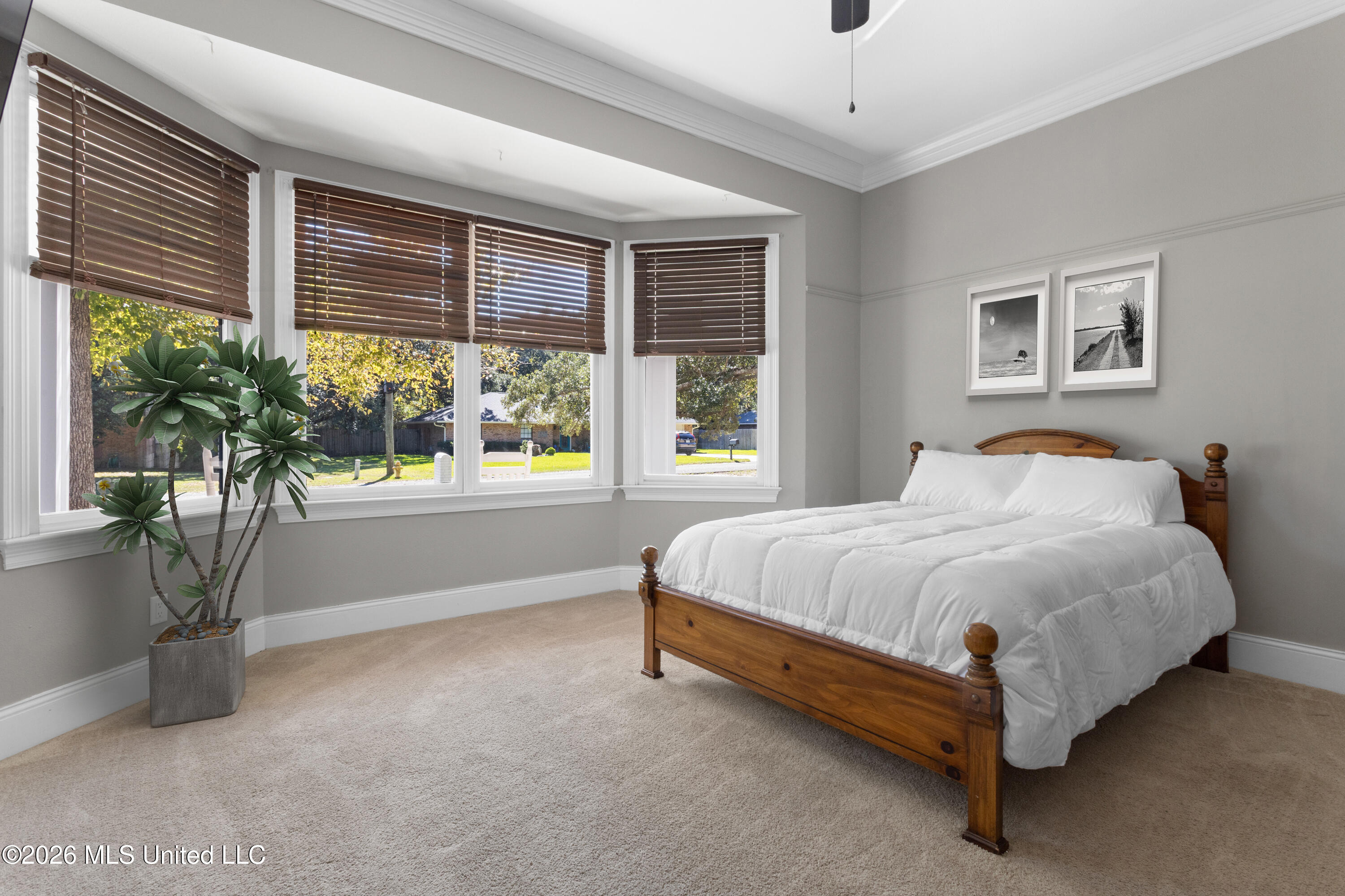 1009 Pino Street Property Photo 42