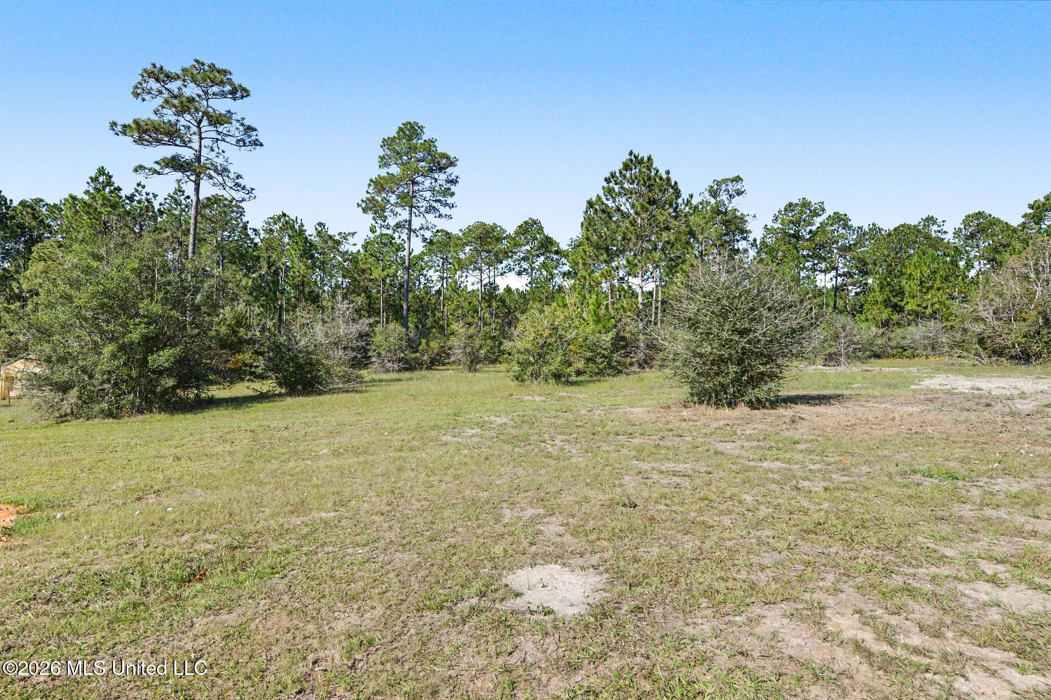 13405 Fox Run Drive Property Photo 31