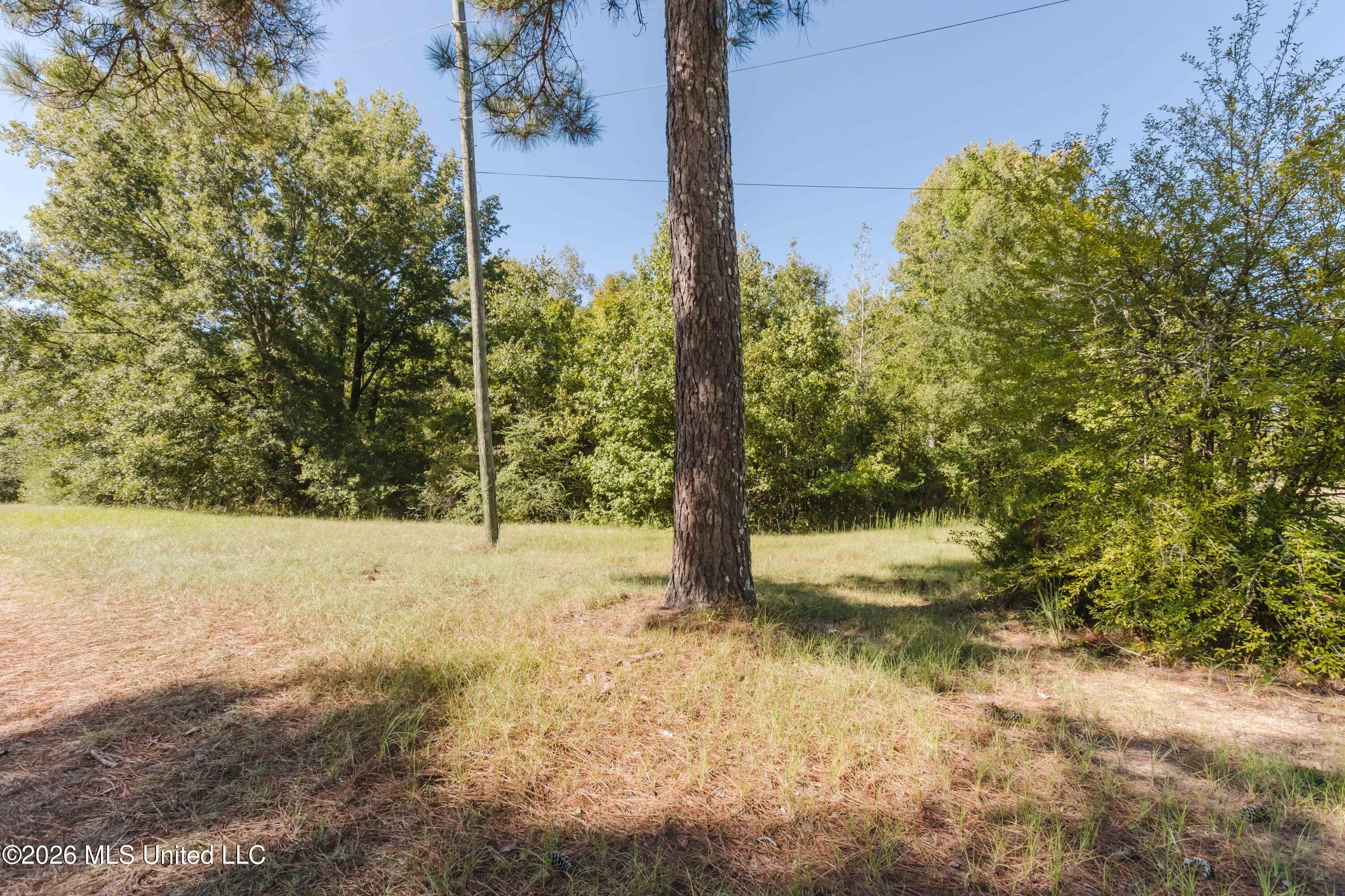 3010 Lee Avenue Property Photo 30