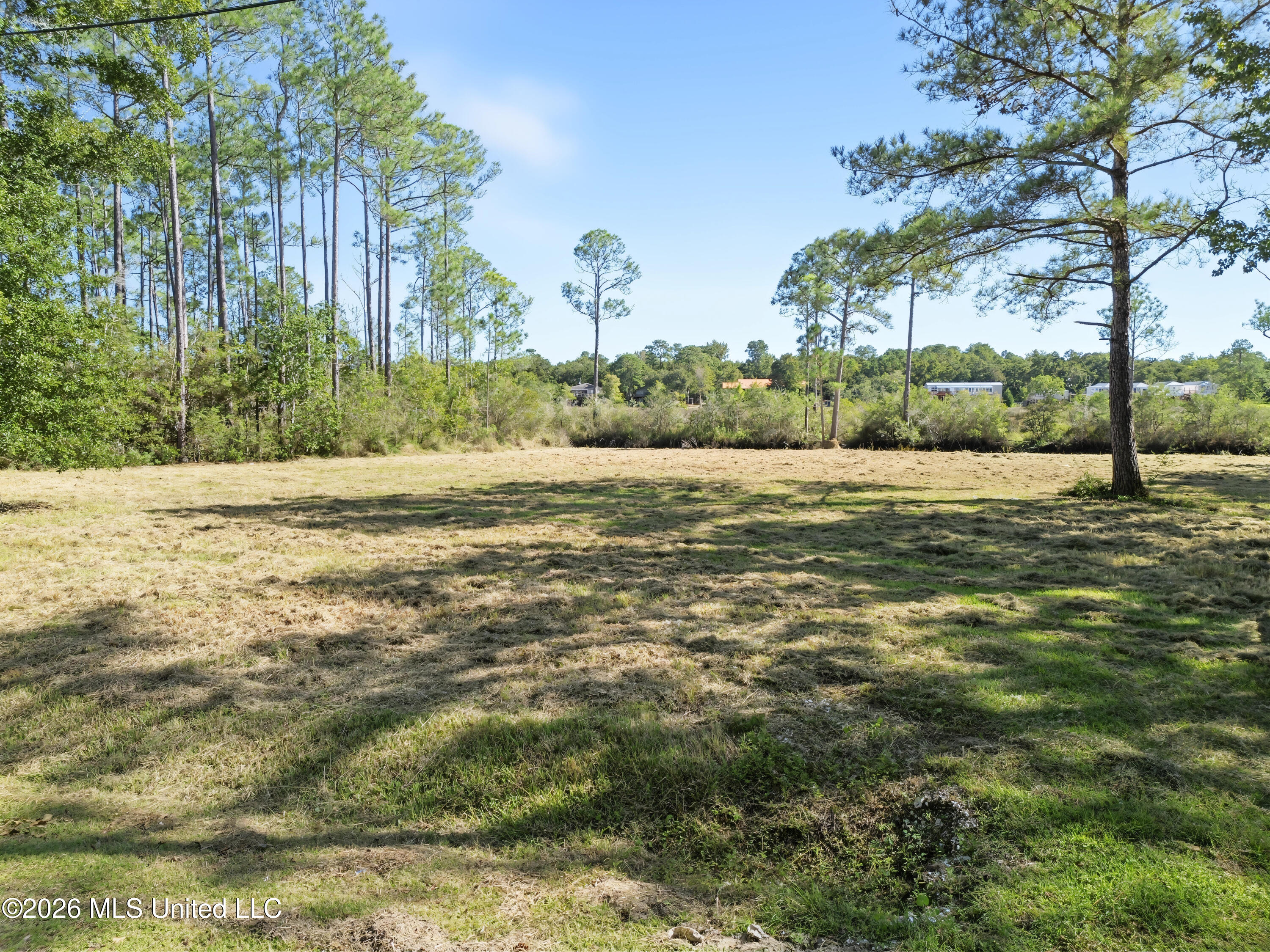 8525 Pickering Forrest Drive Property Photo 1
