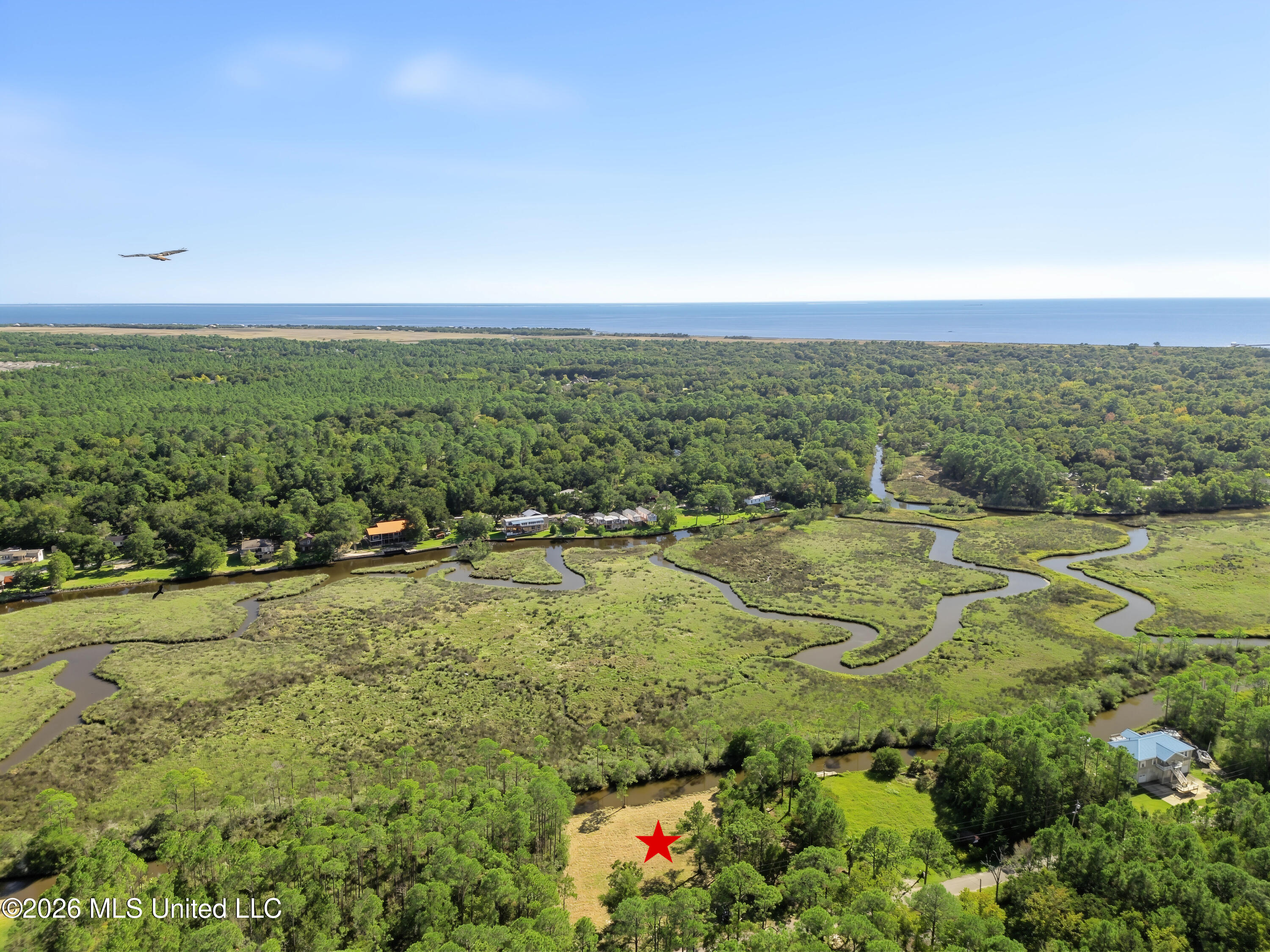 8525 Pickering Forrest Drive Property Photo 4