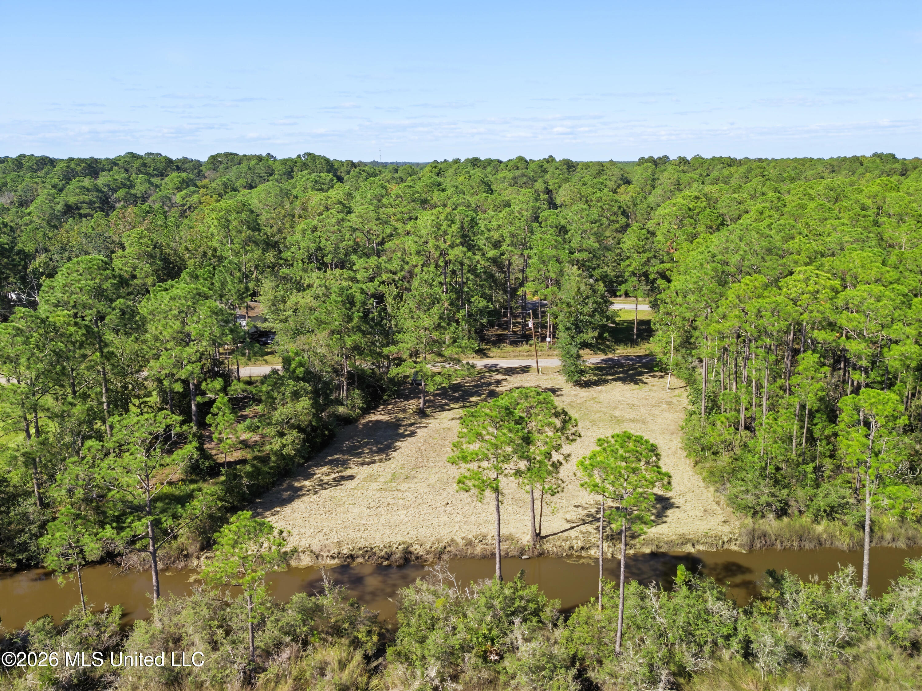 8525 Pickering Forrest Drive Property Photo 6