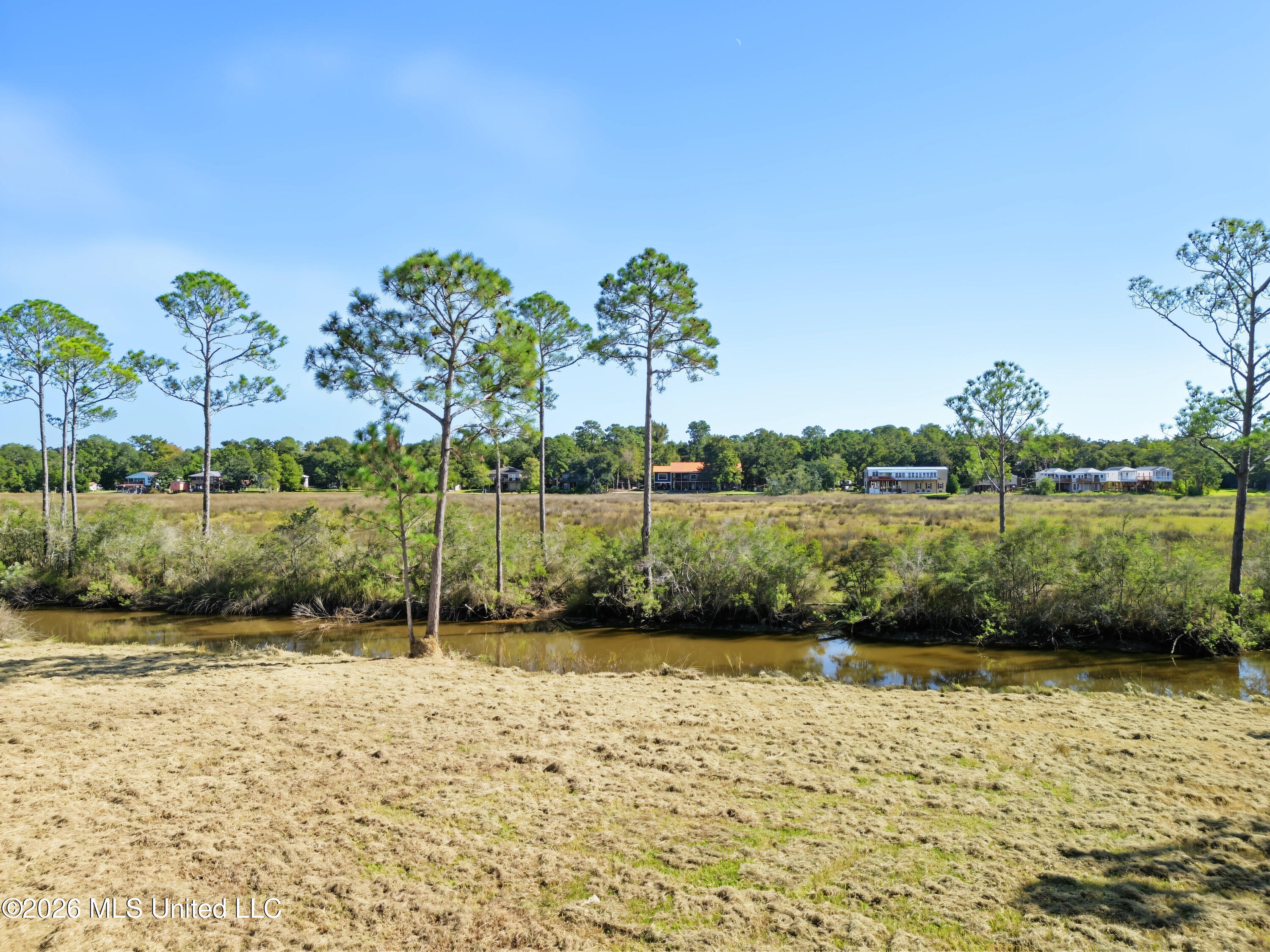 8525 Pickering Forrest Drive Property Photo 7