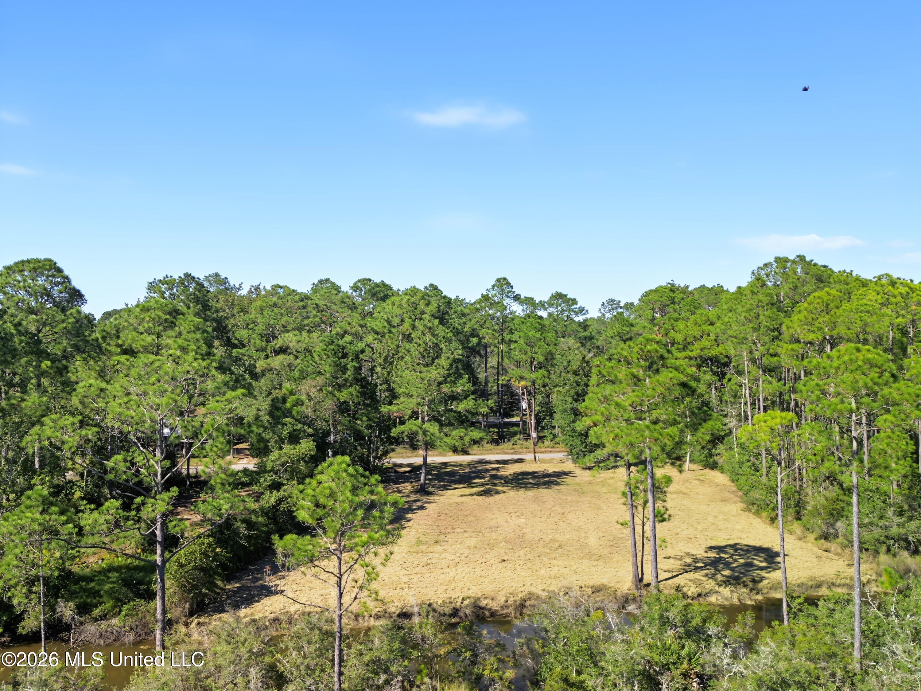 8525 Pickering Forrest Drive Property Photo 8