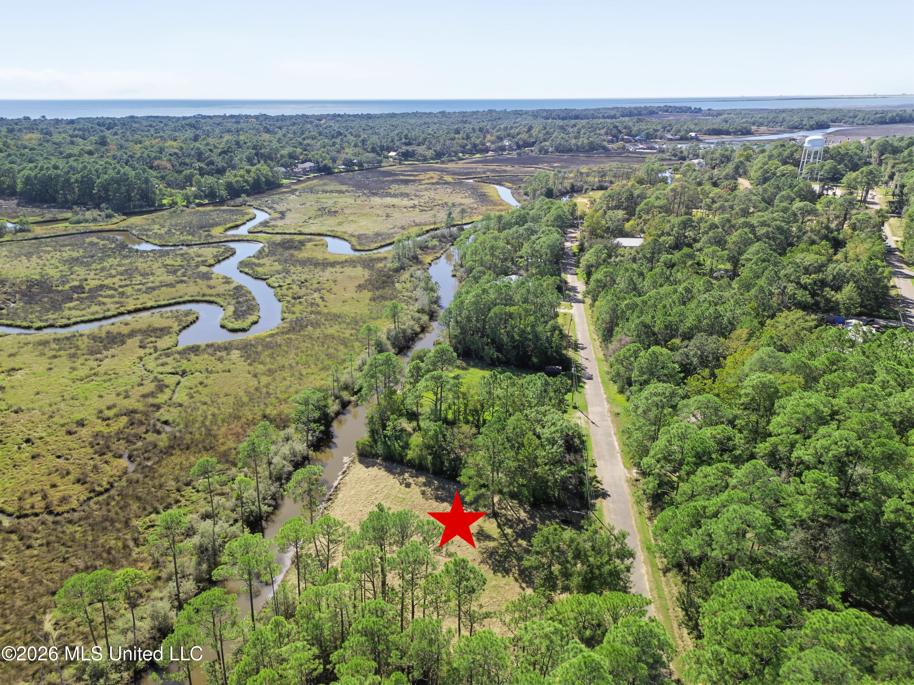 8525 Pickering Forrest Drive Property Photo 9