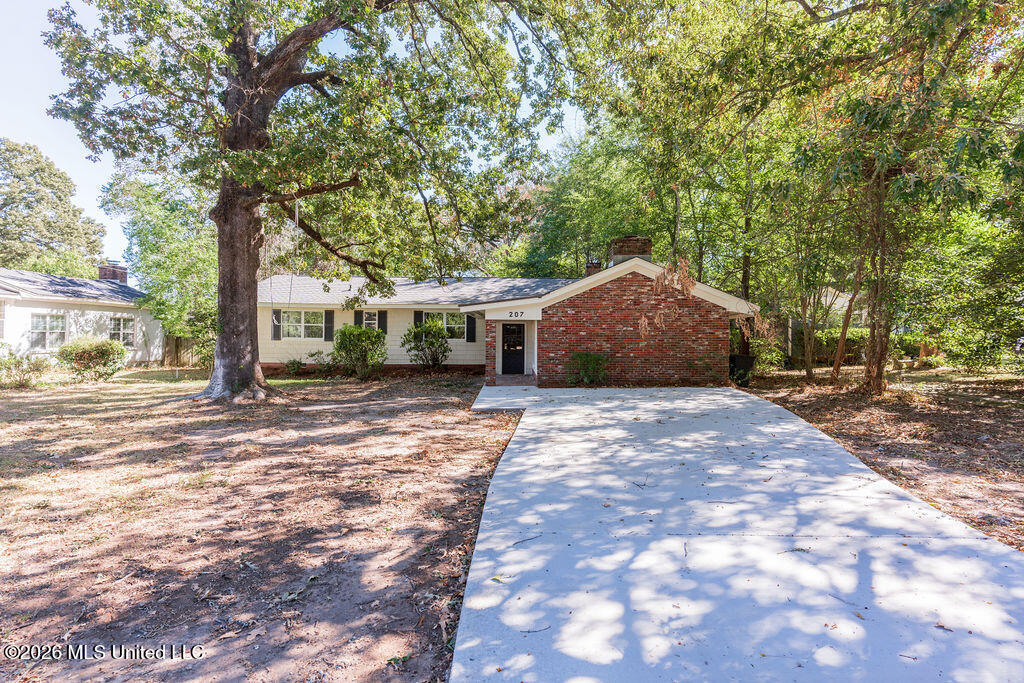 207 Mount Salus Drive Property Photo 2