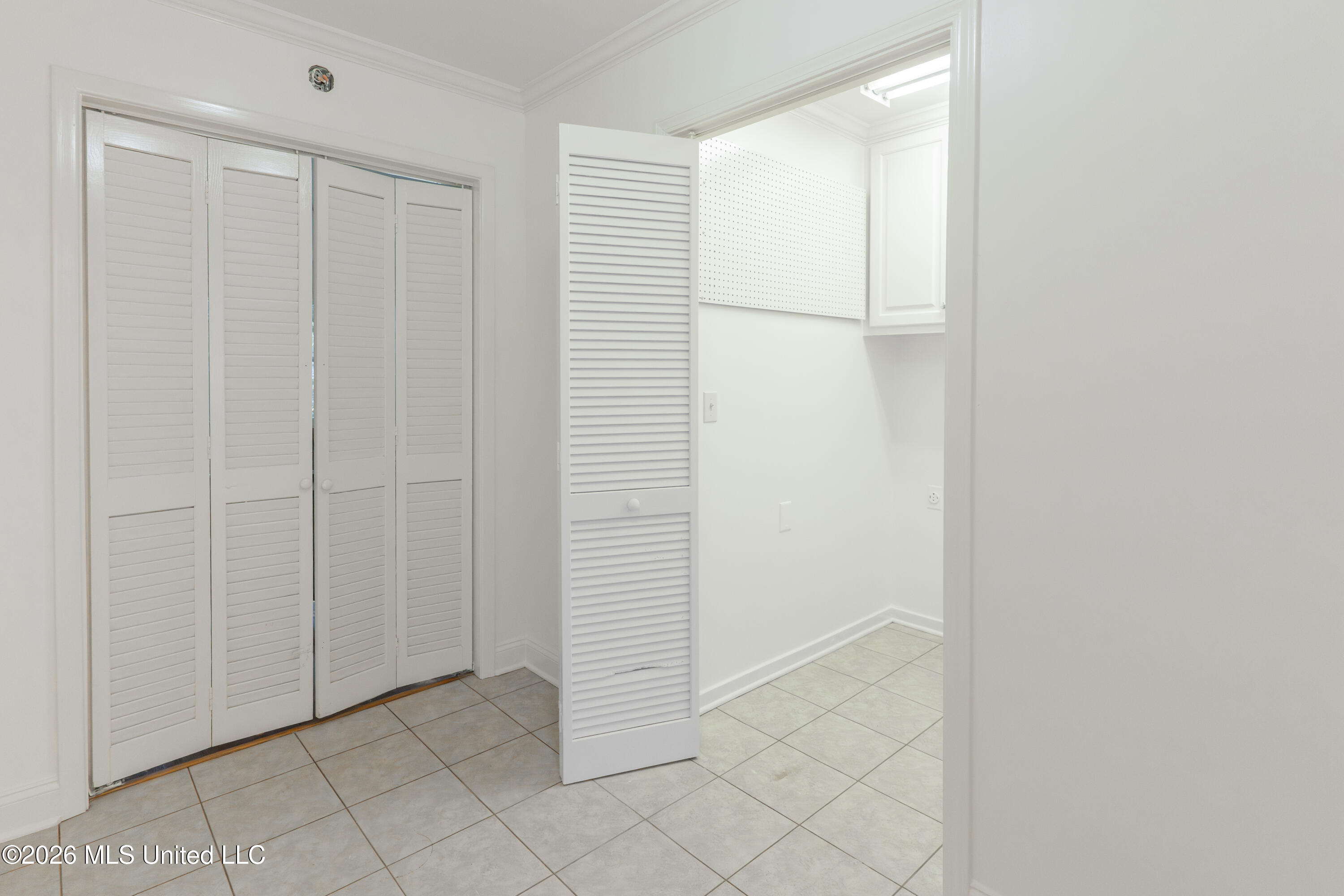 207 Mount Salus Drive Property Photo 18