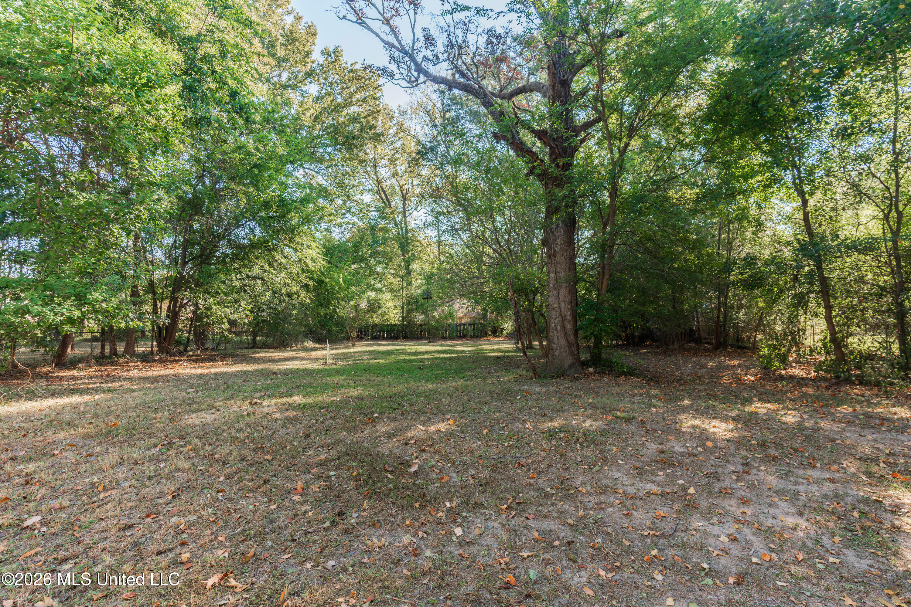 207 Mount Salus Drive Property Photo 48