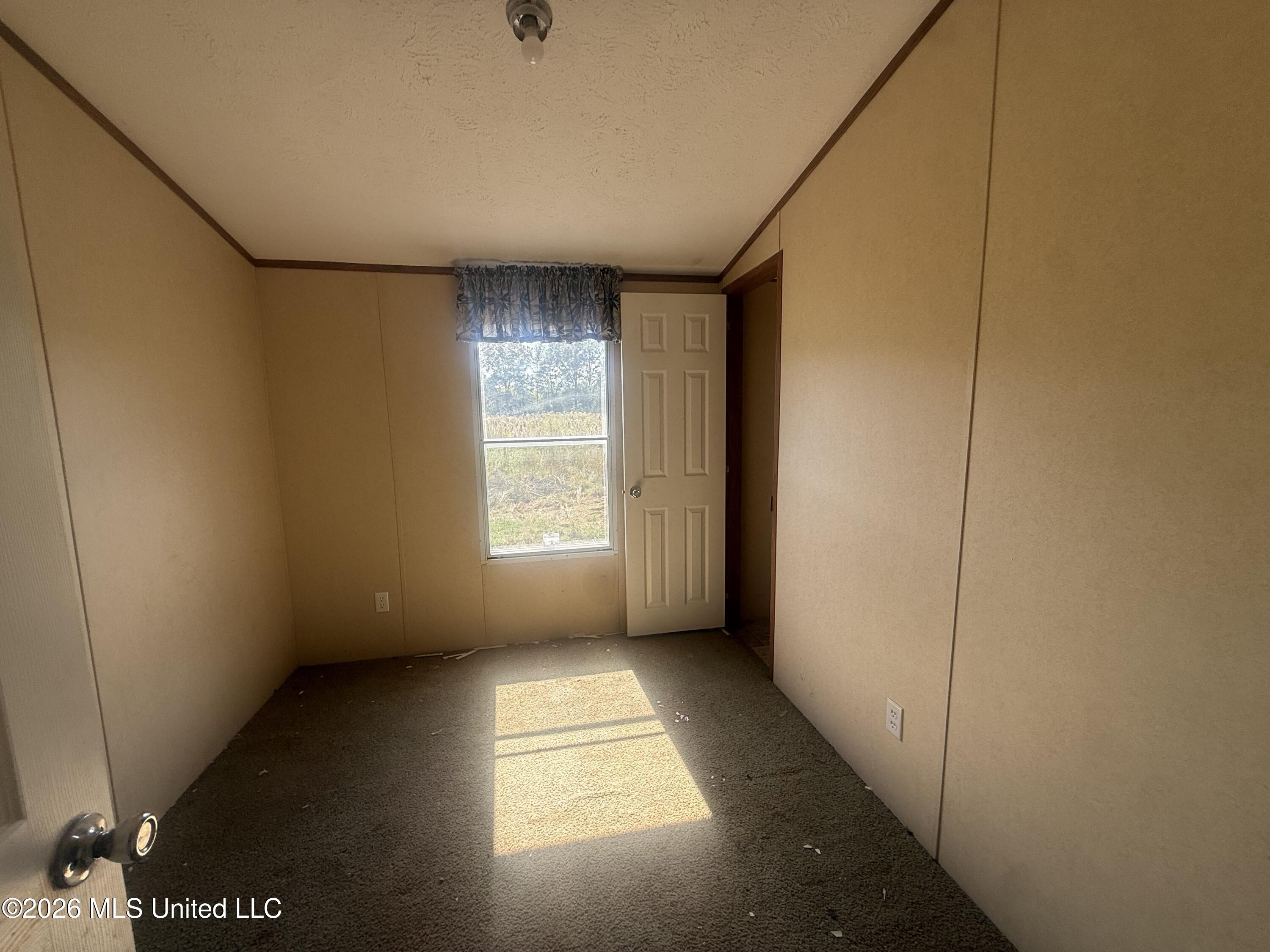 133 Williams Road Property Photo 6
