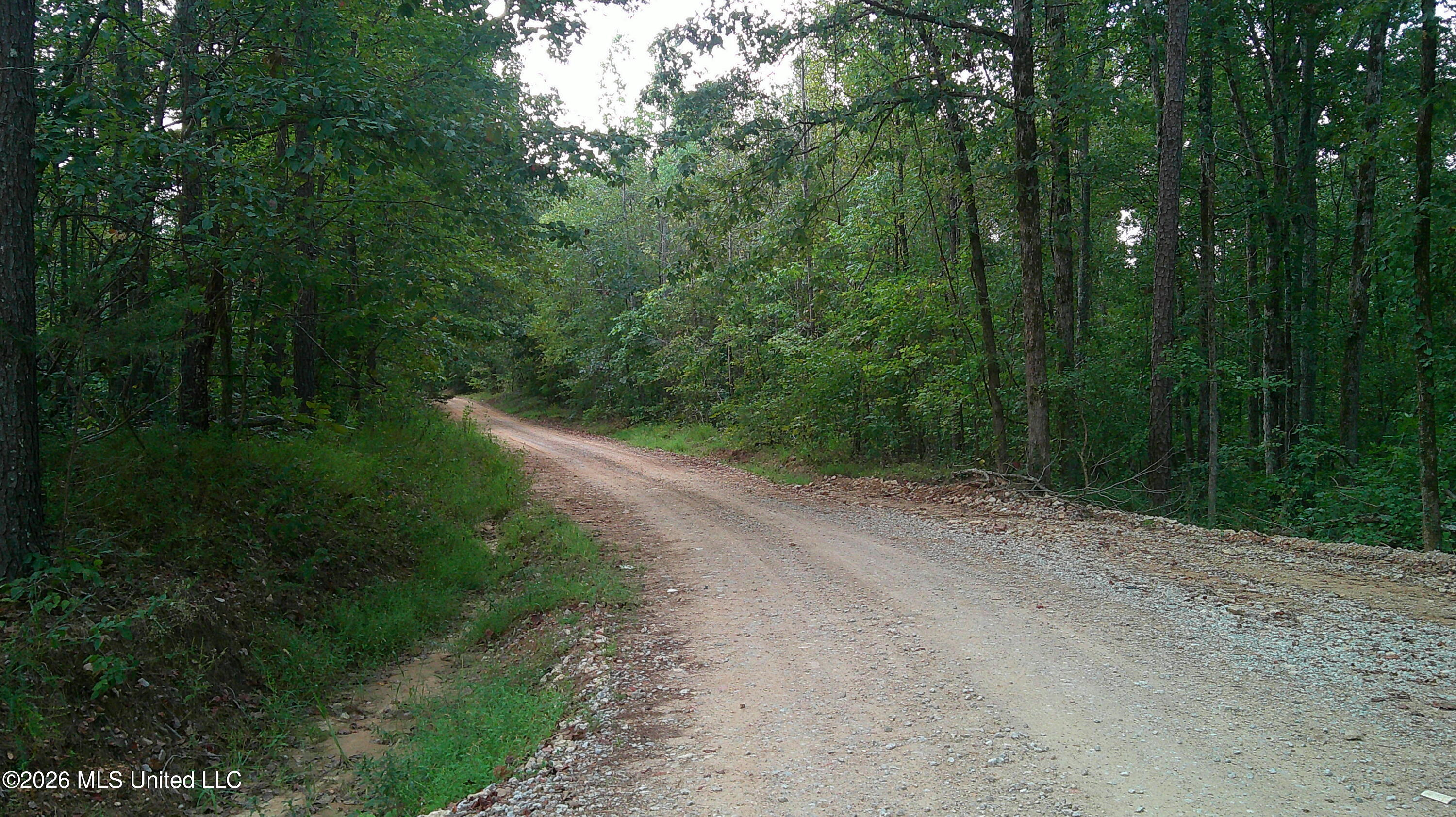 County Road 414 Property Photo 3