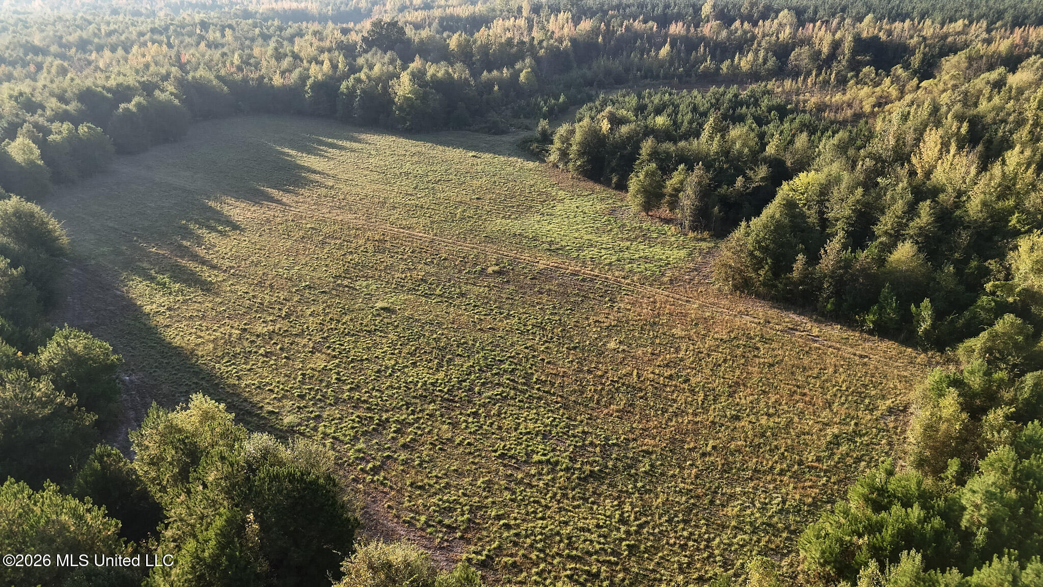 Mississippi 35 Highway Property Photo 3