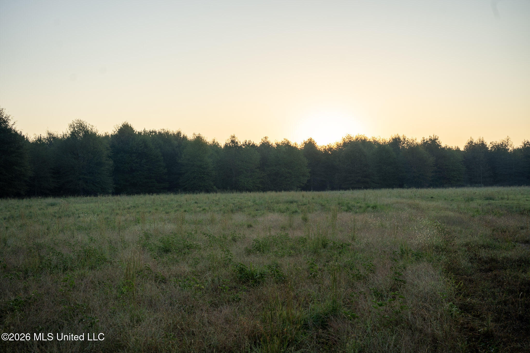 Mississippi 35 Highway Property Photo 14