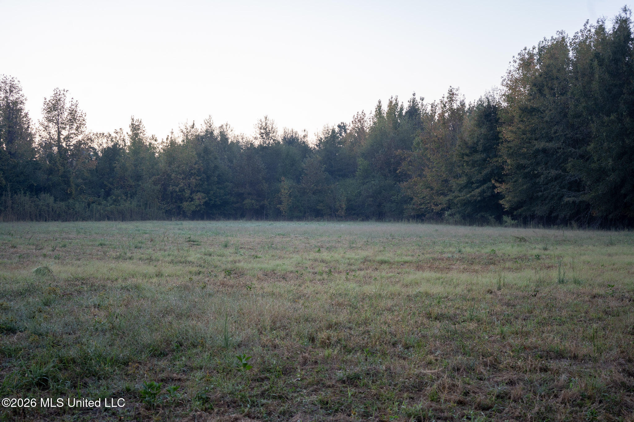 Mississippi 35 Highway Property Photo 17