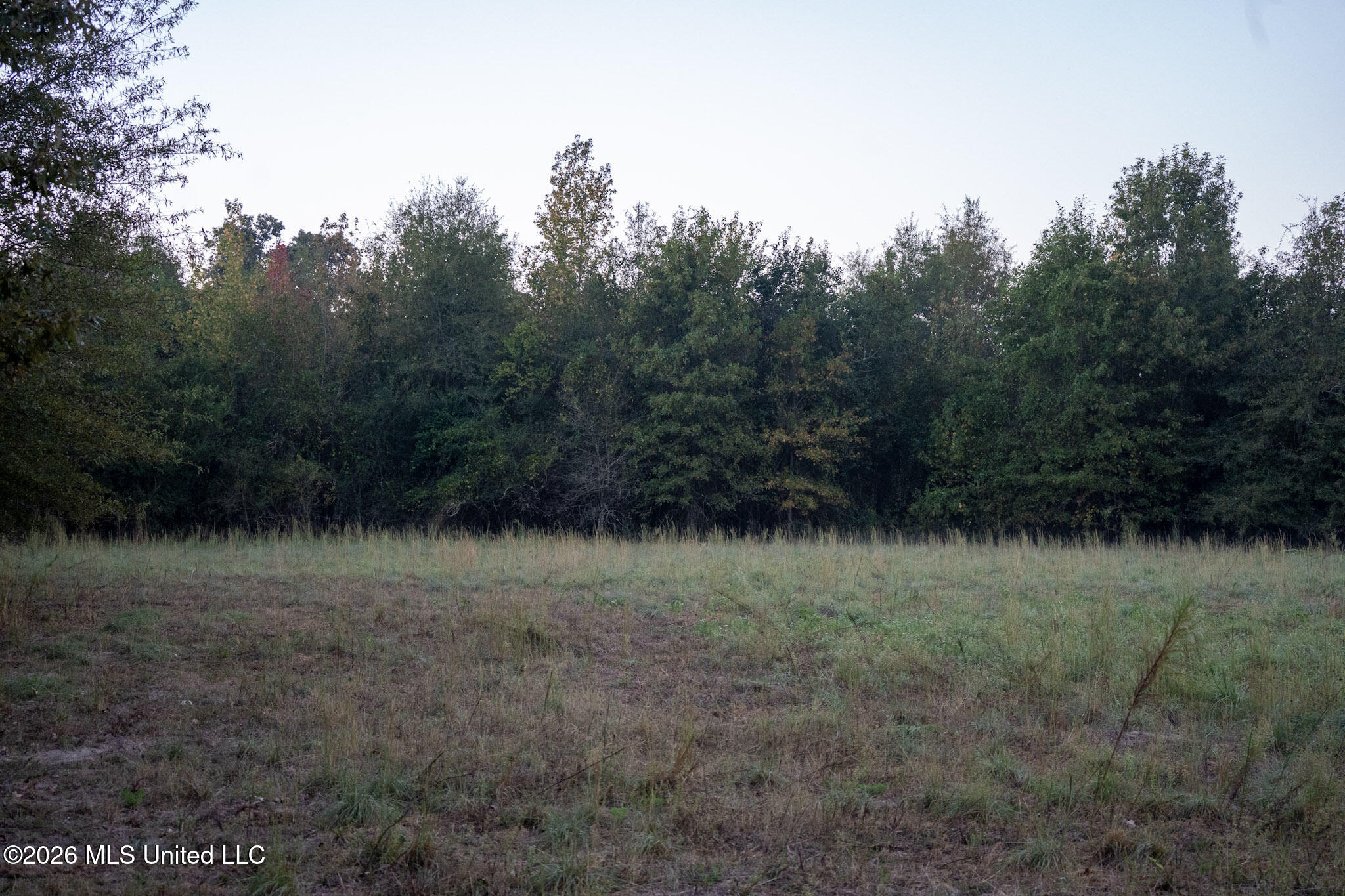 Mississippi 35 Highway Property Photo 20