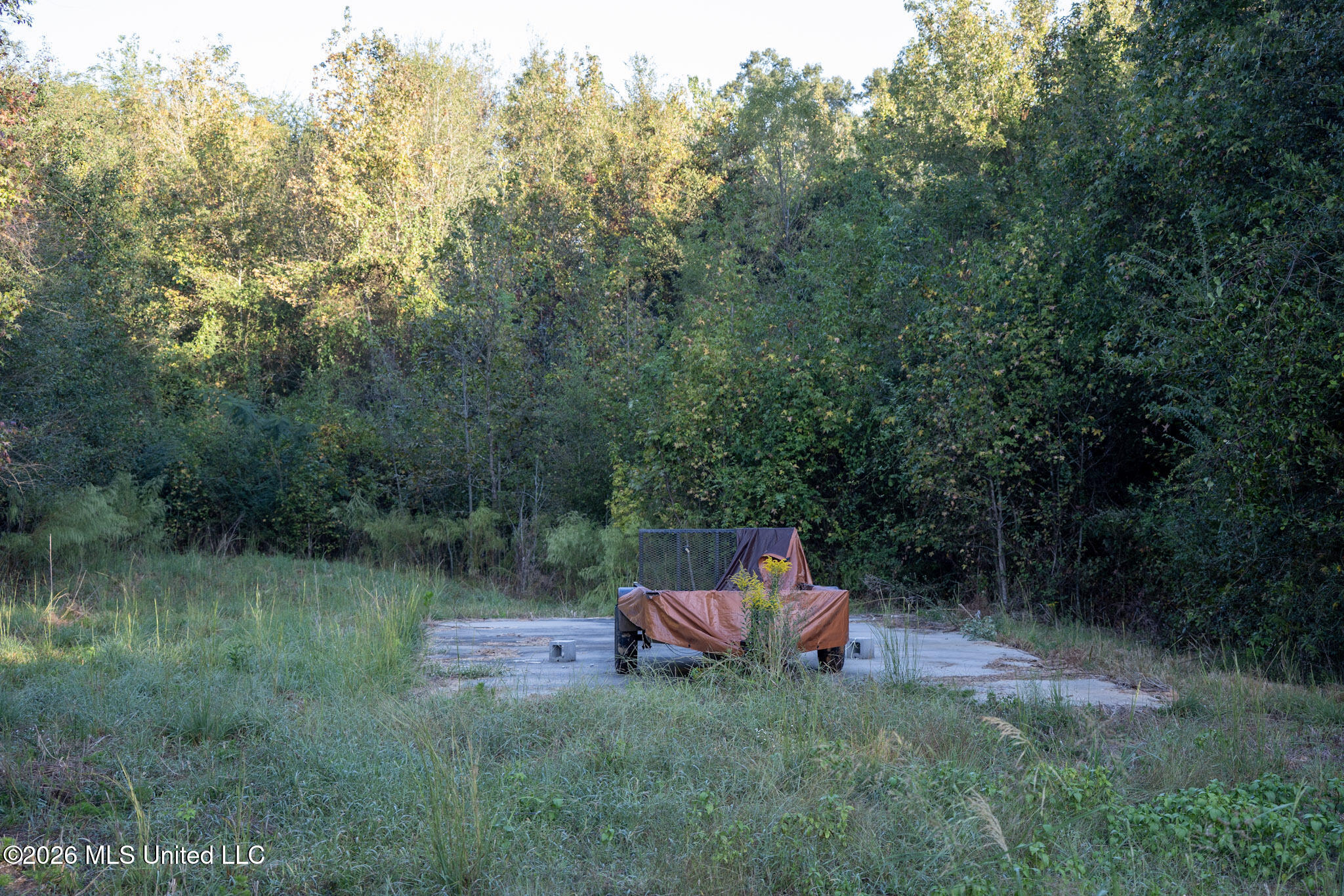 Mississippi 35 Highway Property Photo 22