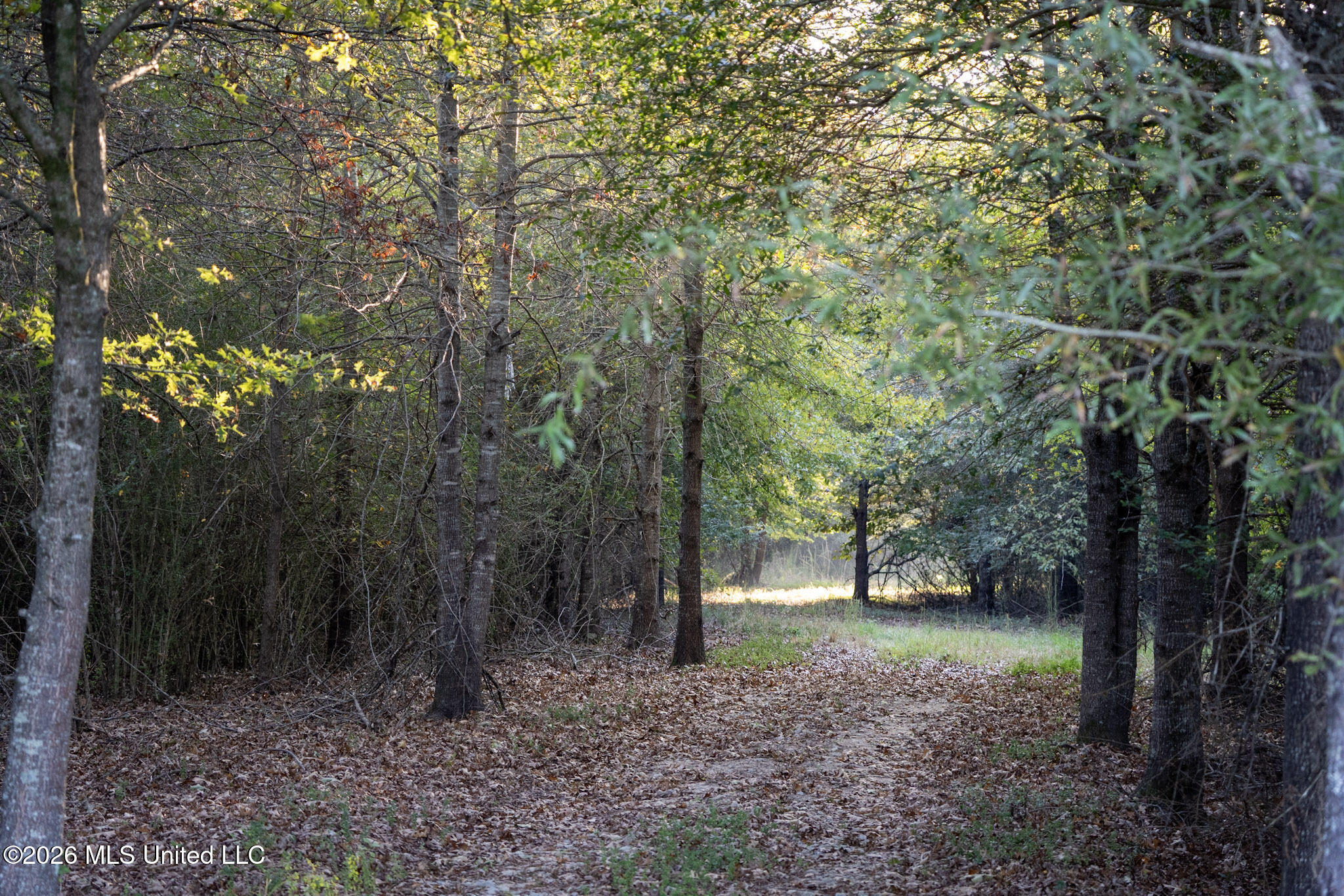Mississippi 35 Highway Property Photo 26