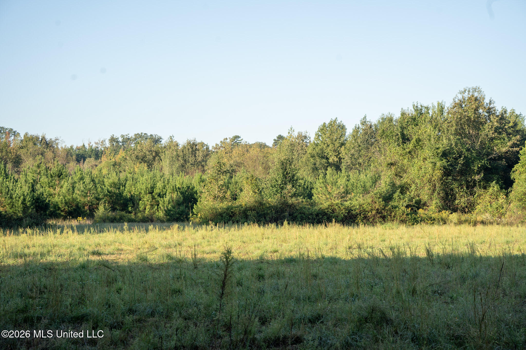 Mississippi 35 Highway Property Photo 27