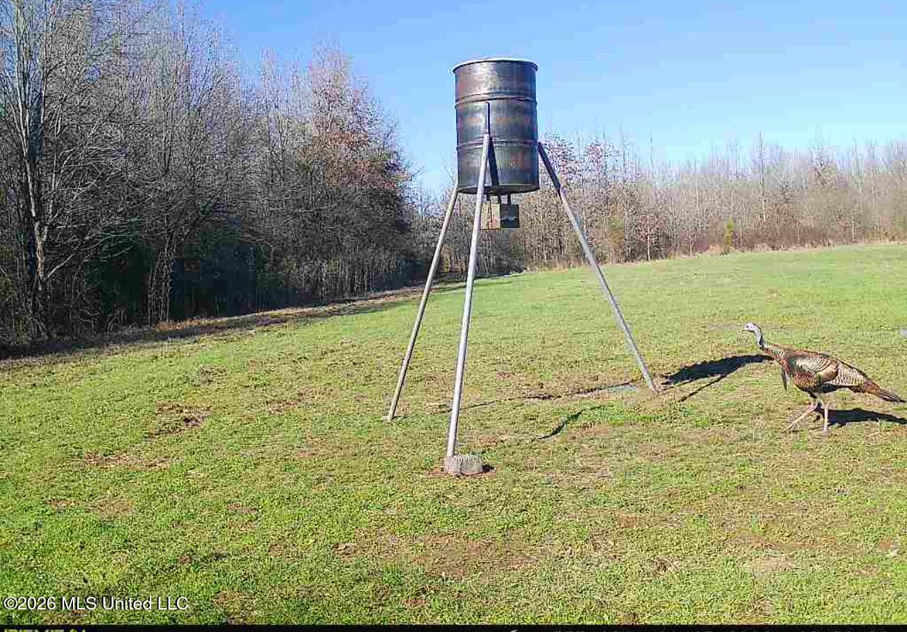 Mississippi 35 Highway Property Photo 34