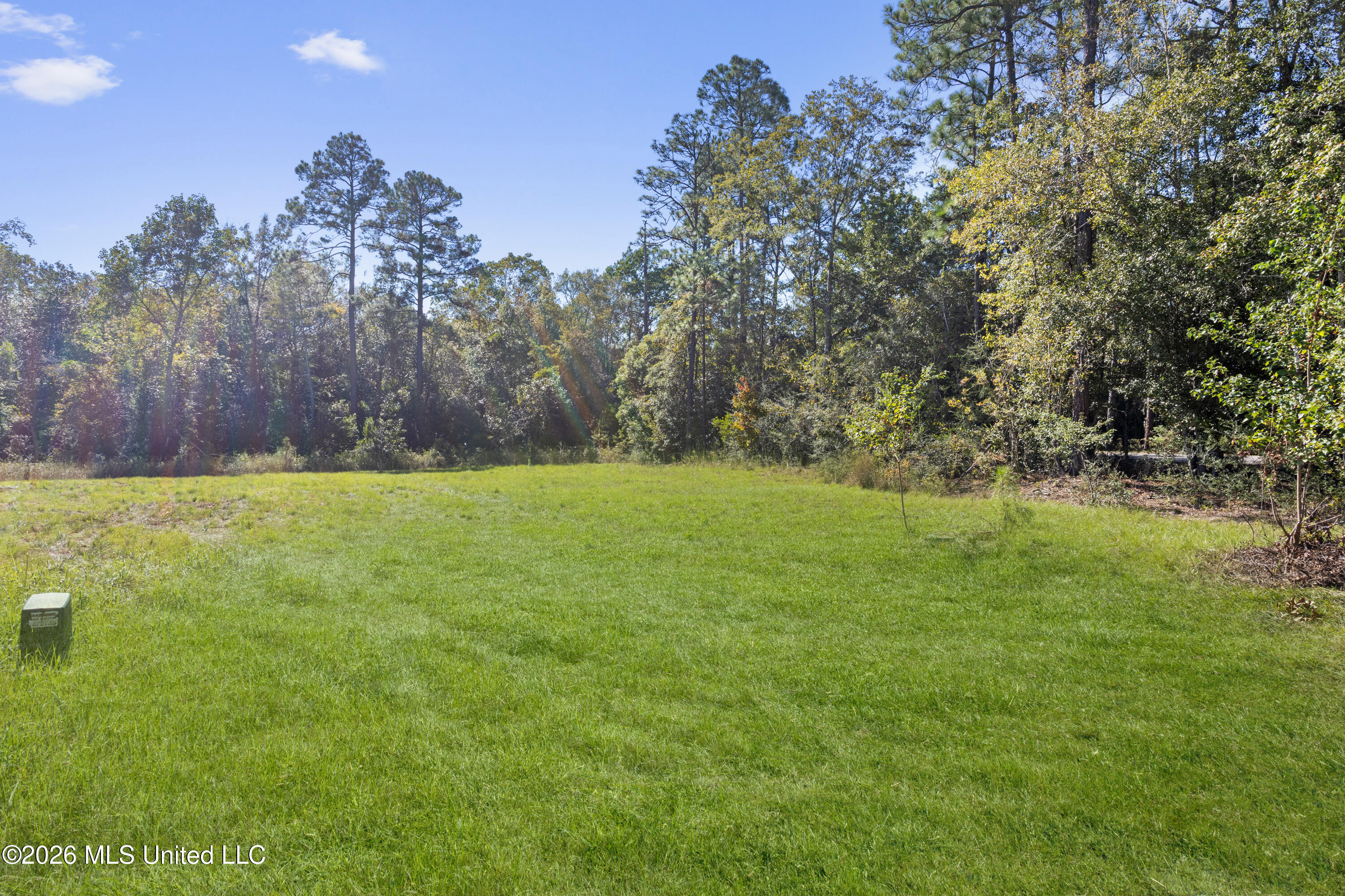 13063 Midland Cove Property Photo 2