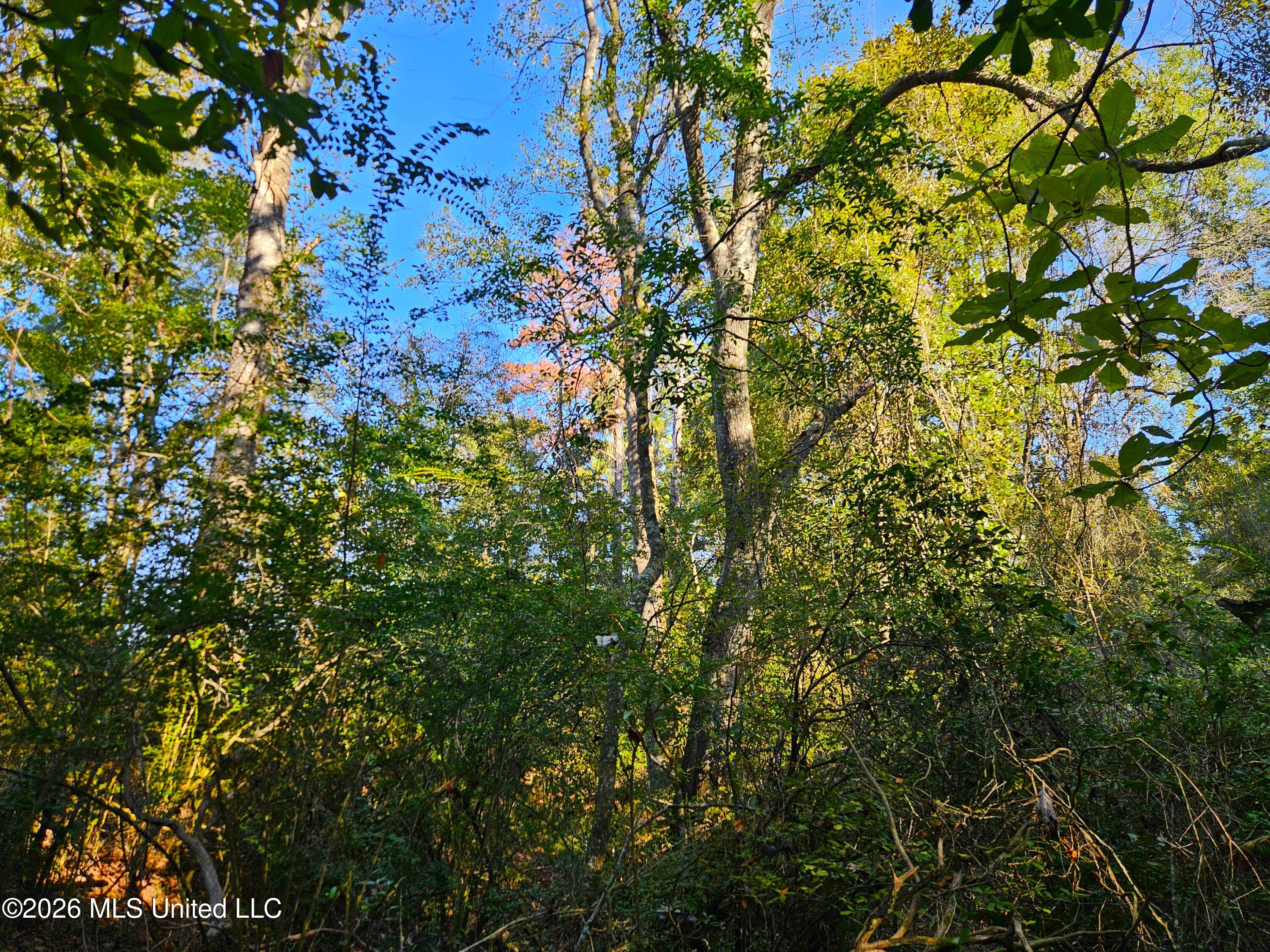 Rogers Road Property Photo 50