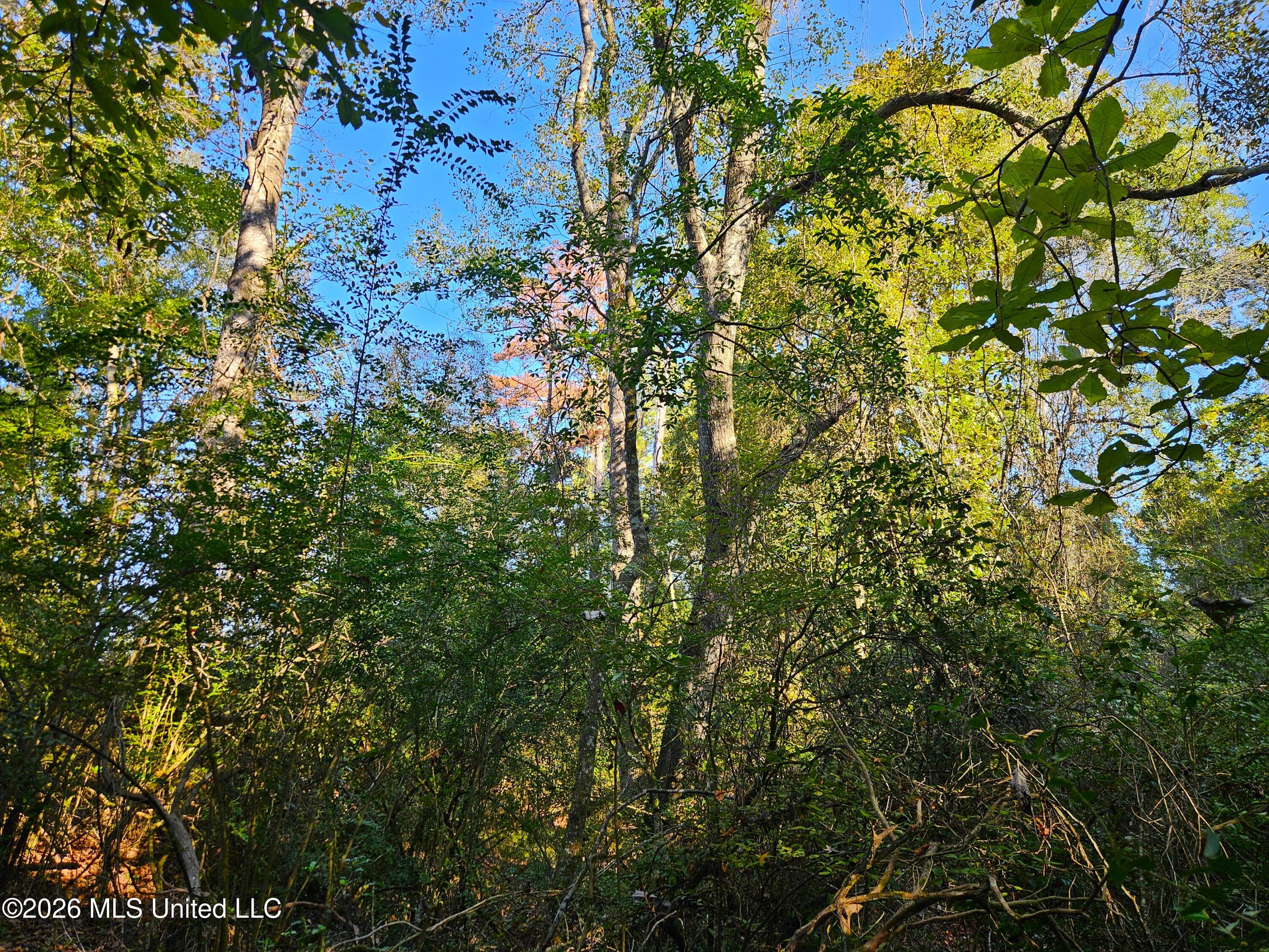 Rogers Road Property Photo 52