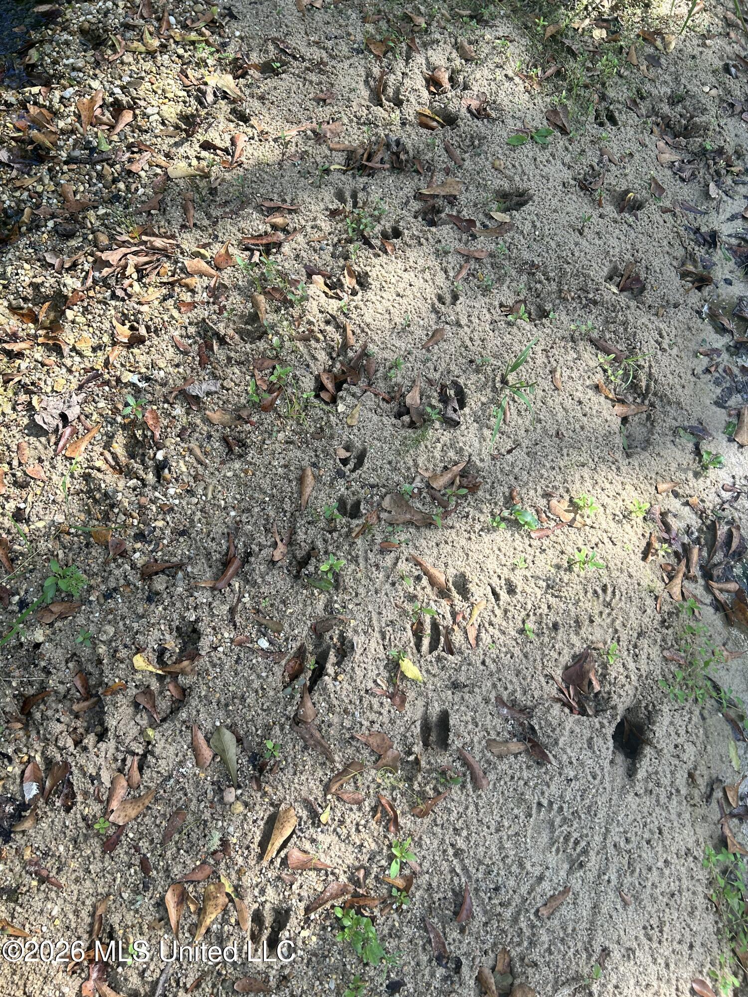 Se Shivers Lane Property Photo 5