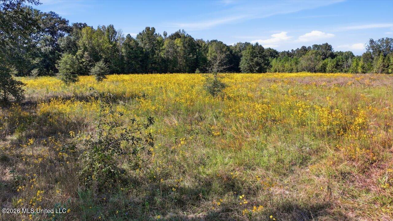 Presley Road Property Photo 34