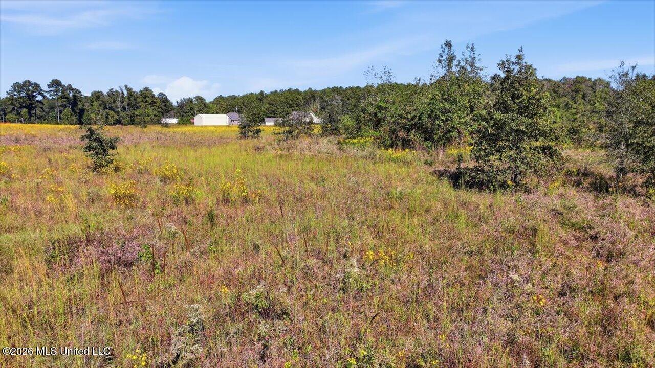 Presley Road Property Photo 35
