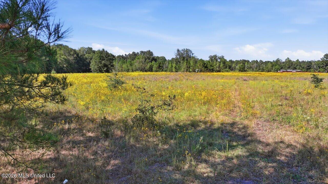 Presley Road Property Photo 38
