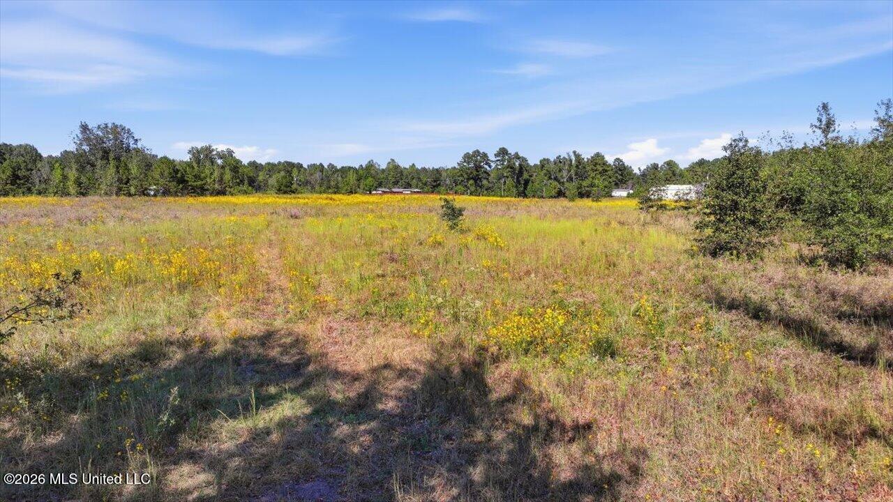 Presley Road Property Photo 39