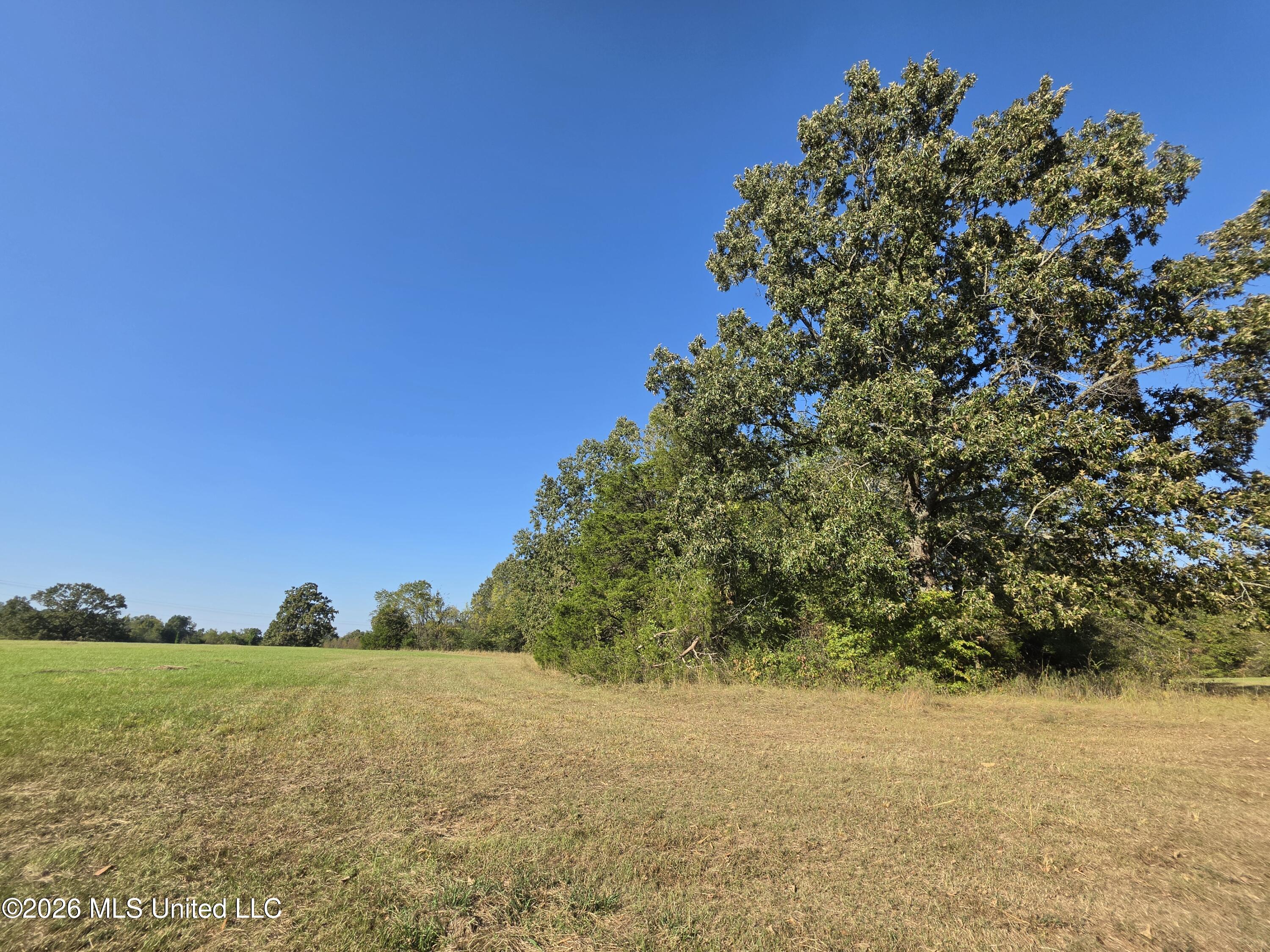Old Hwy 7 Property Photo 4