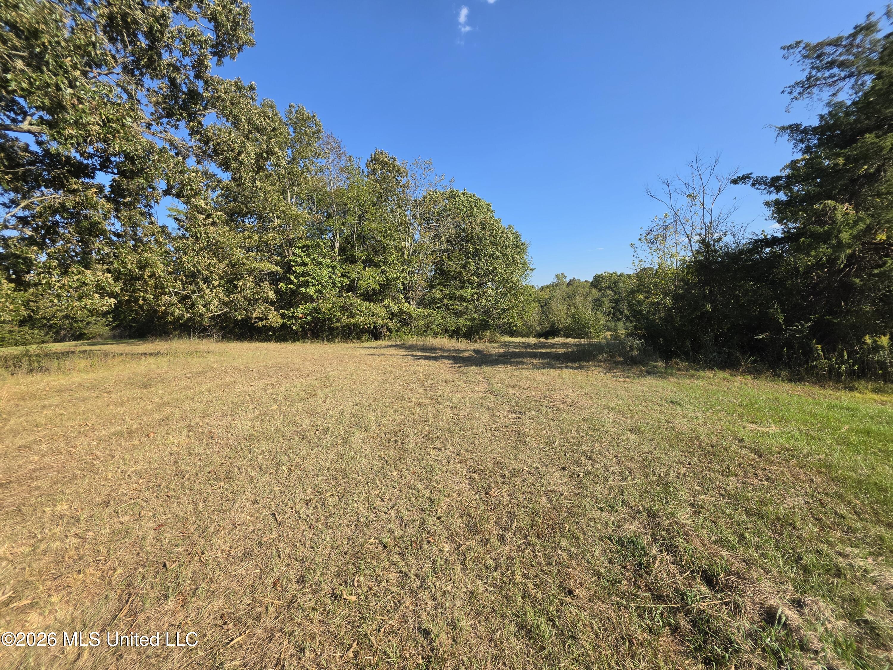 Old Hwy 7 Property Photo 5