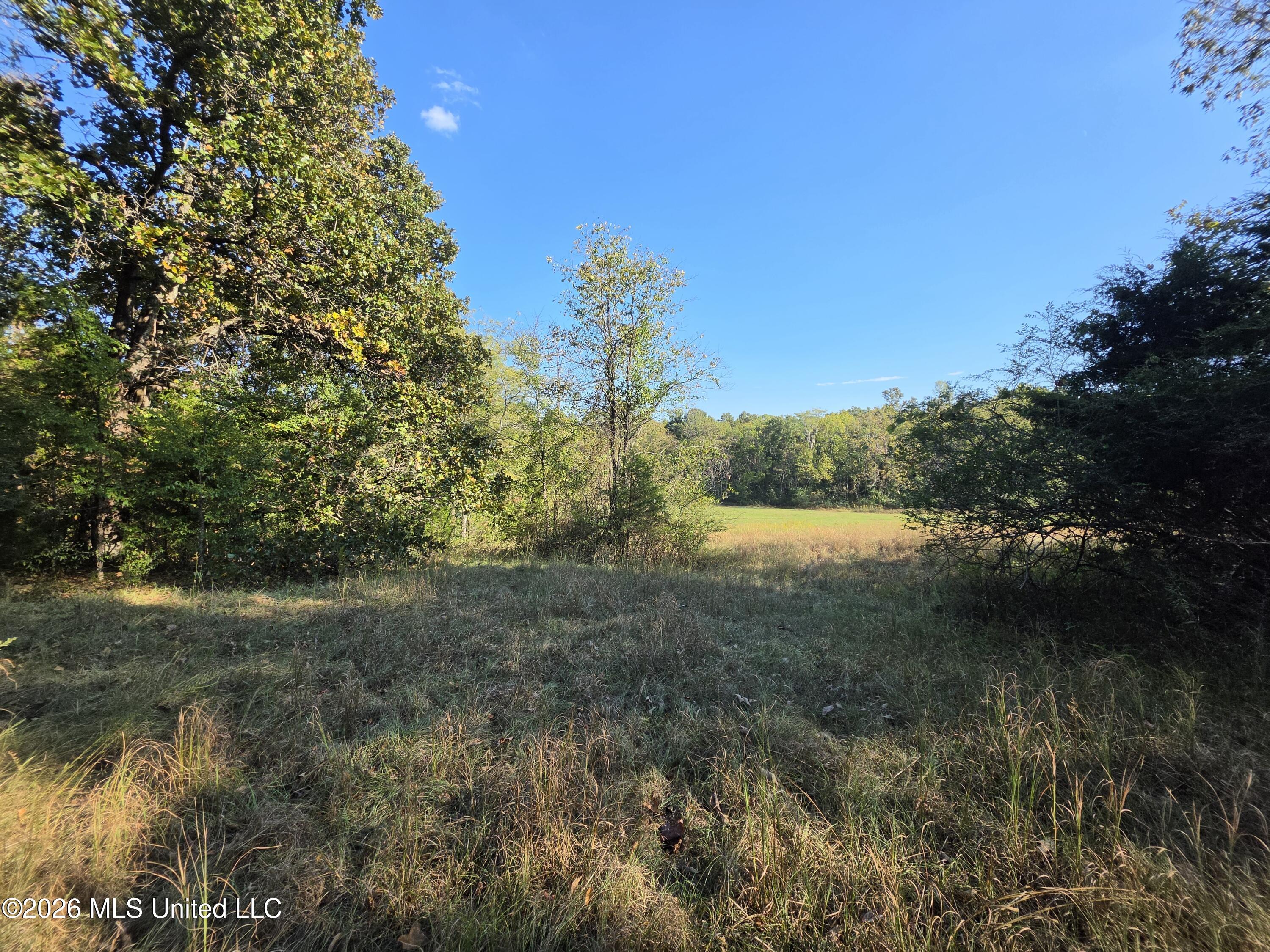 Old Hwy 7 Property Photo 6