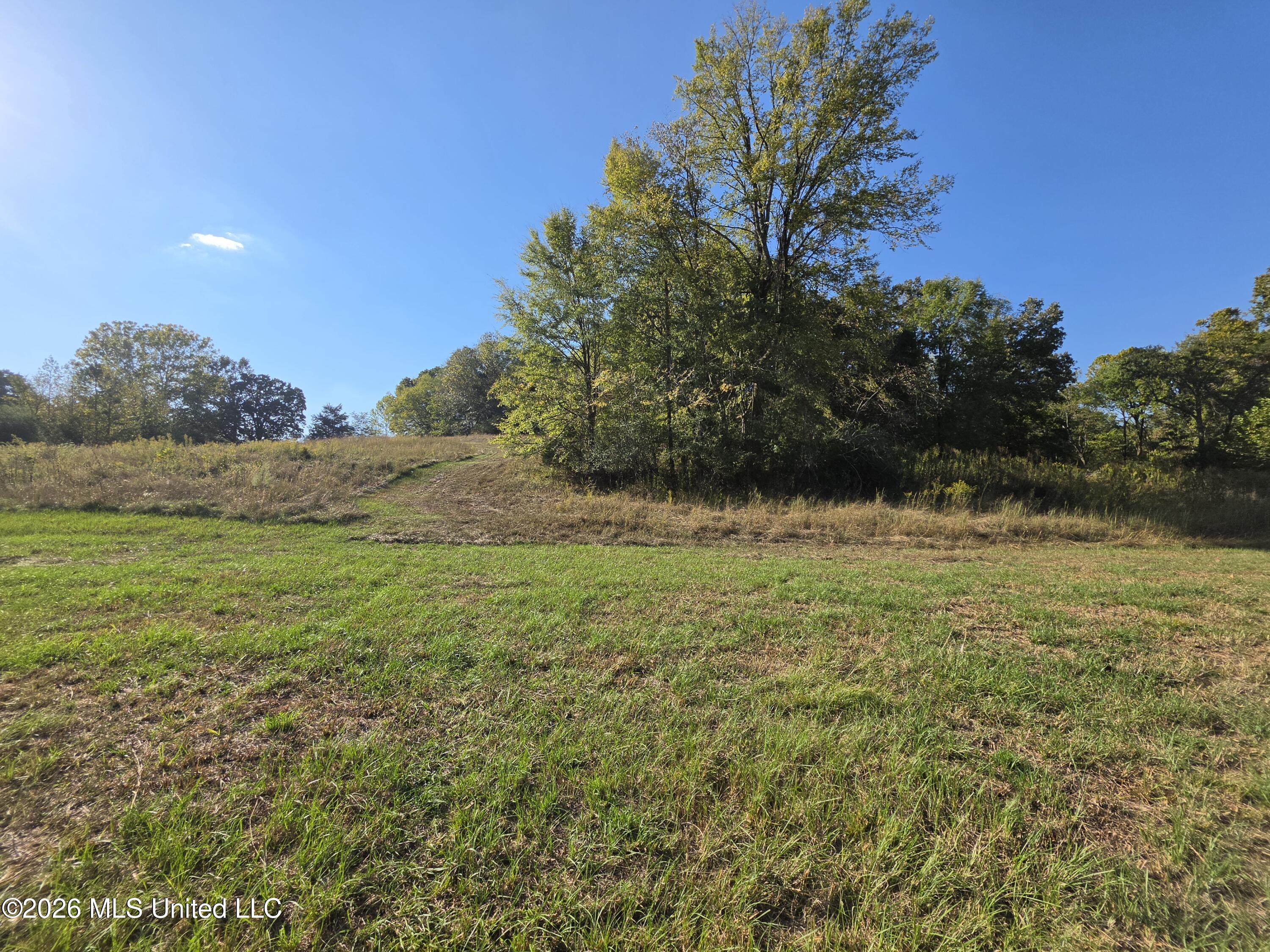 Old Hwy 7 Property Photo 7