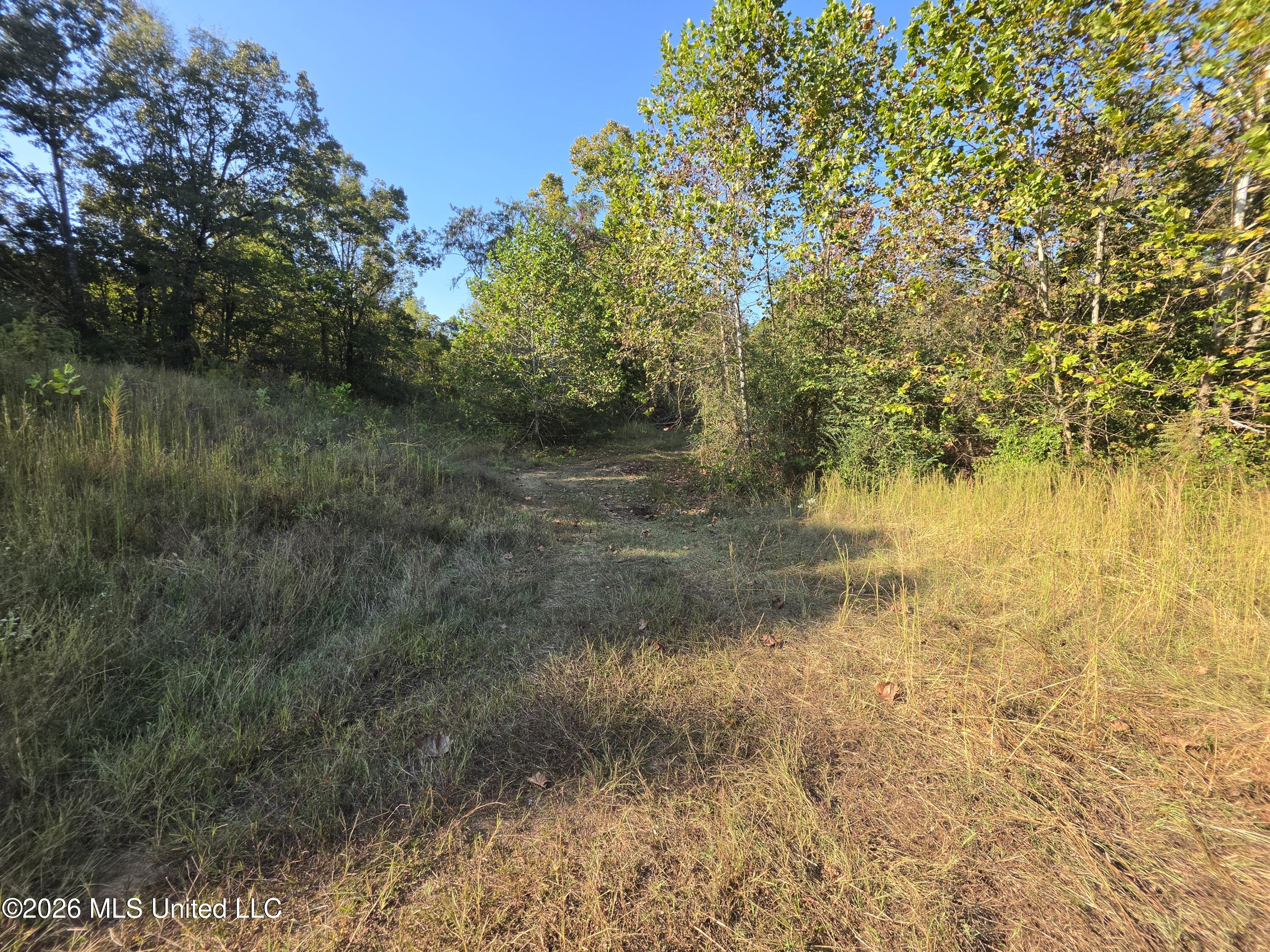 Old Hwy 7 Property Photo 9